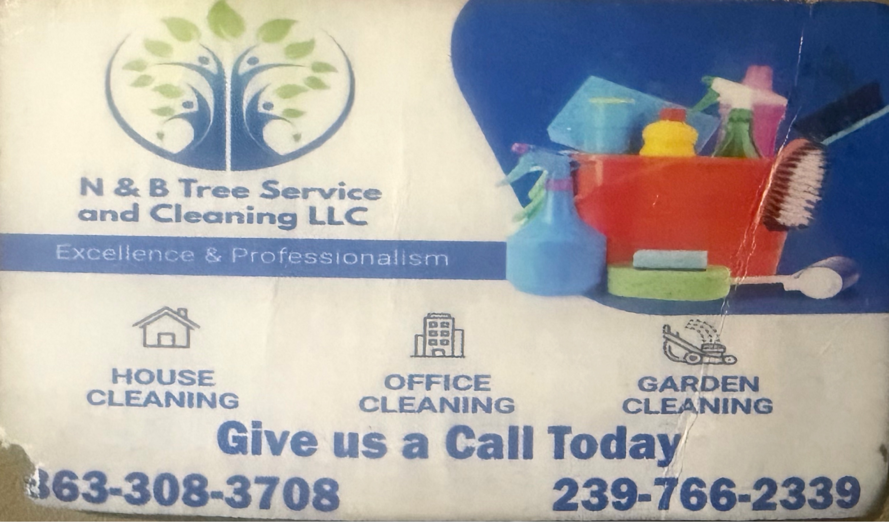 N & B TREE SERVICE AND CLEANING LLC Logo