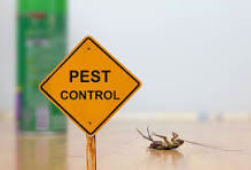 Keystone Pest Control Logo