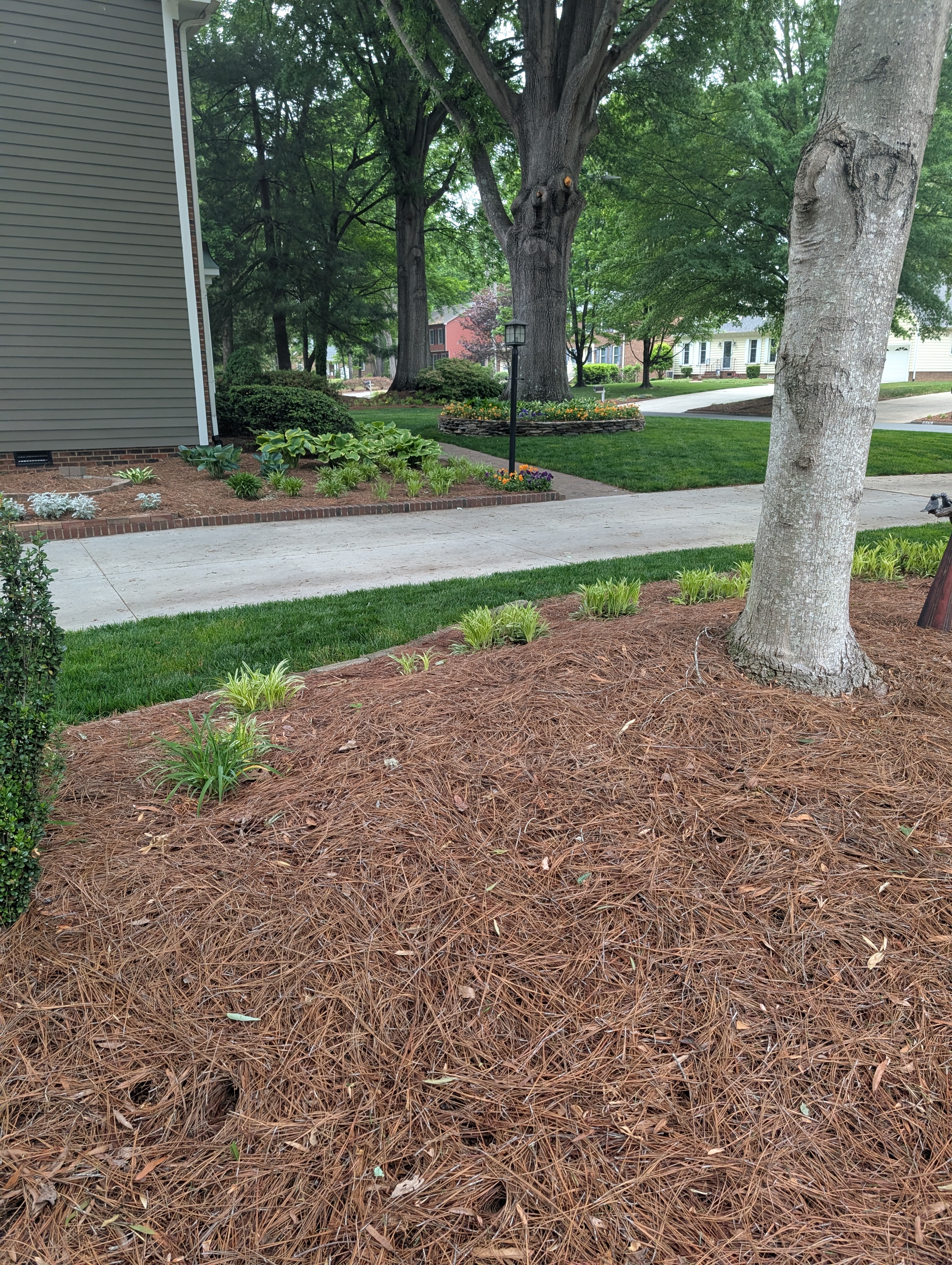 Overman Lawn Logo