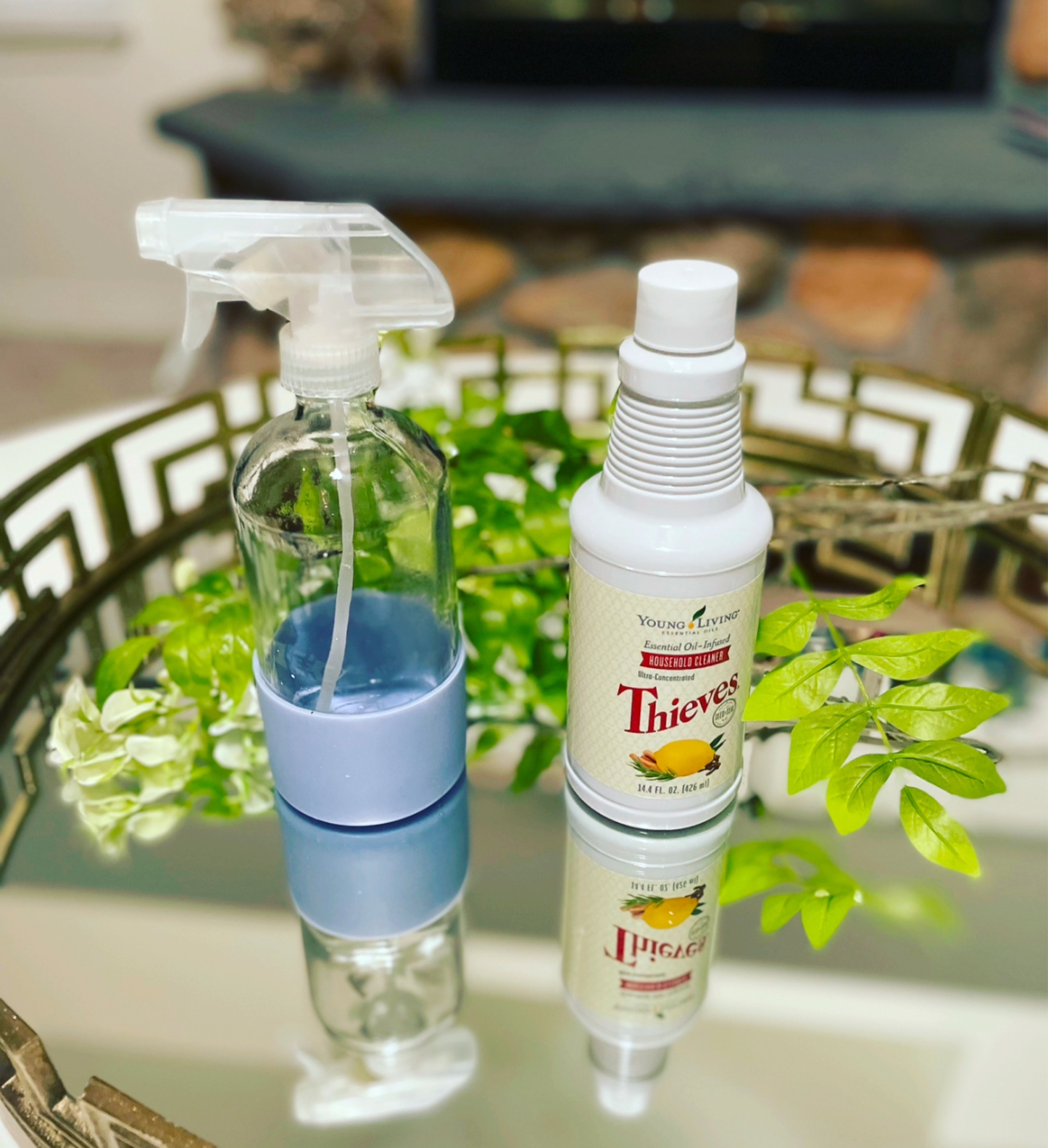 Natural Cleaning and Organizing Logo