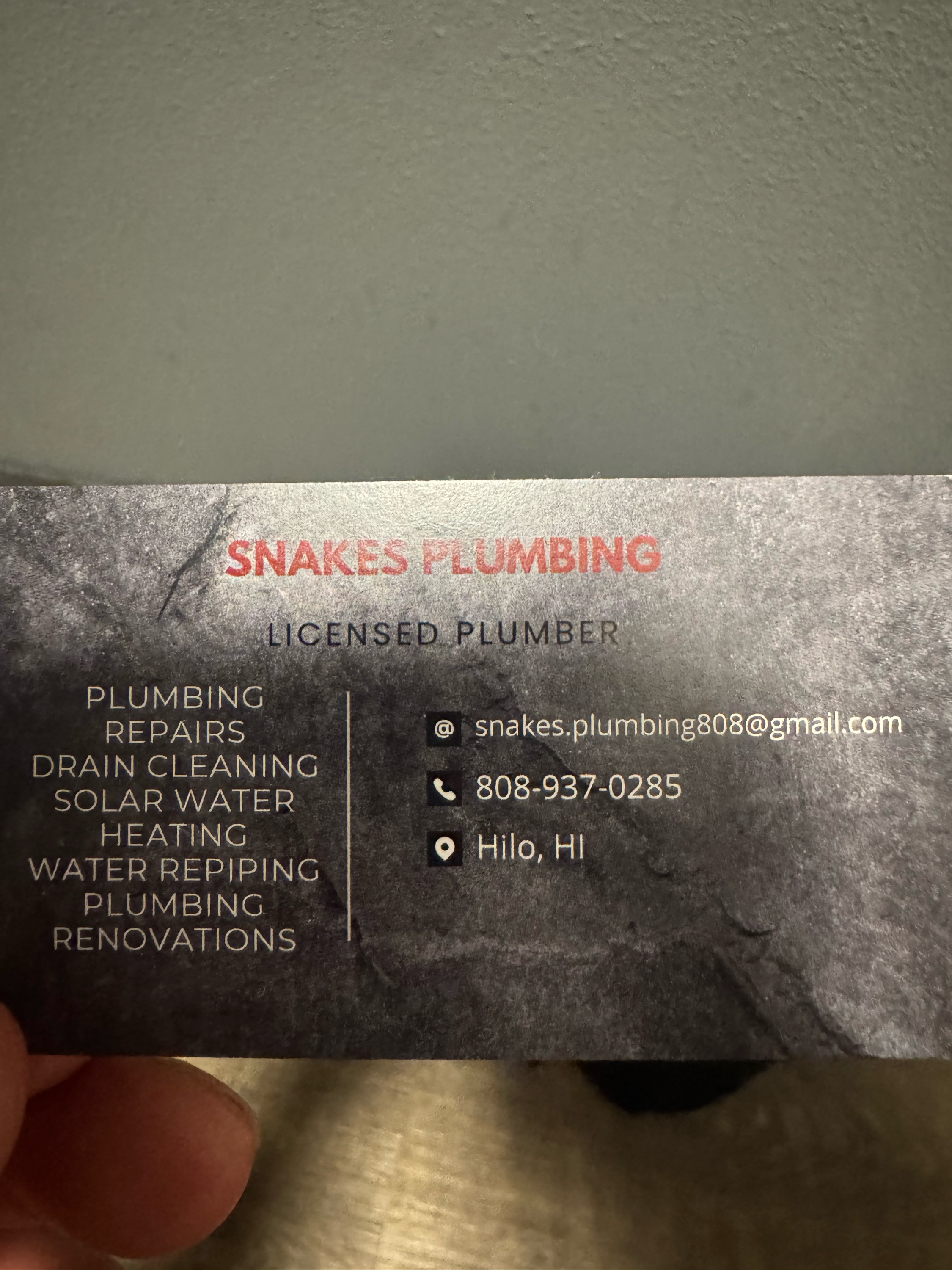 Snakes Plumbing Logo