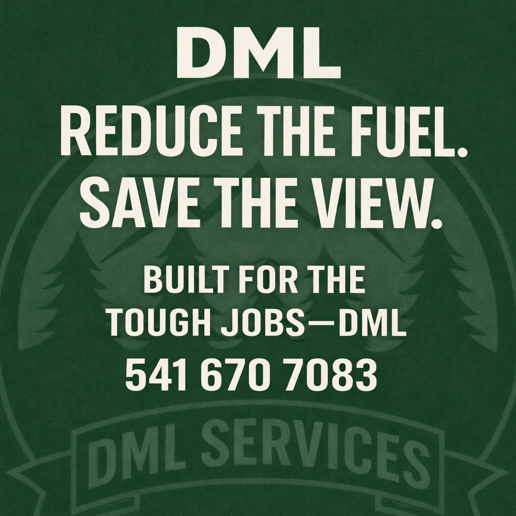 DML Services Logo