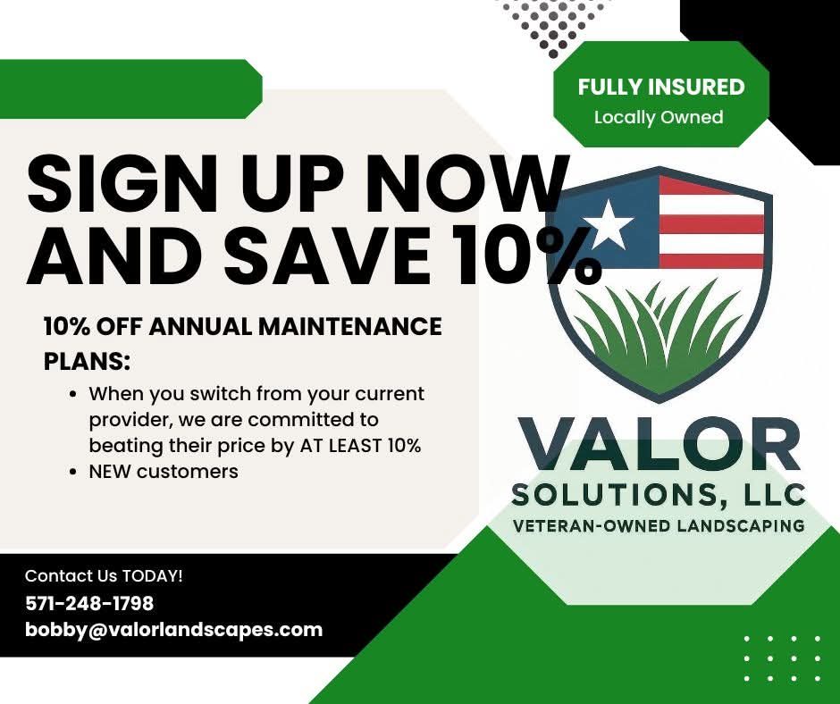 Valor Solutions LLC Logo