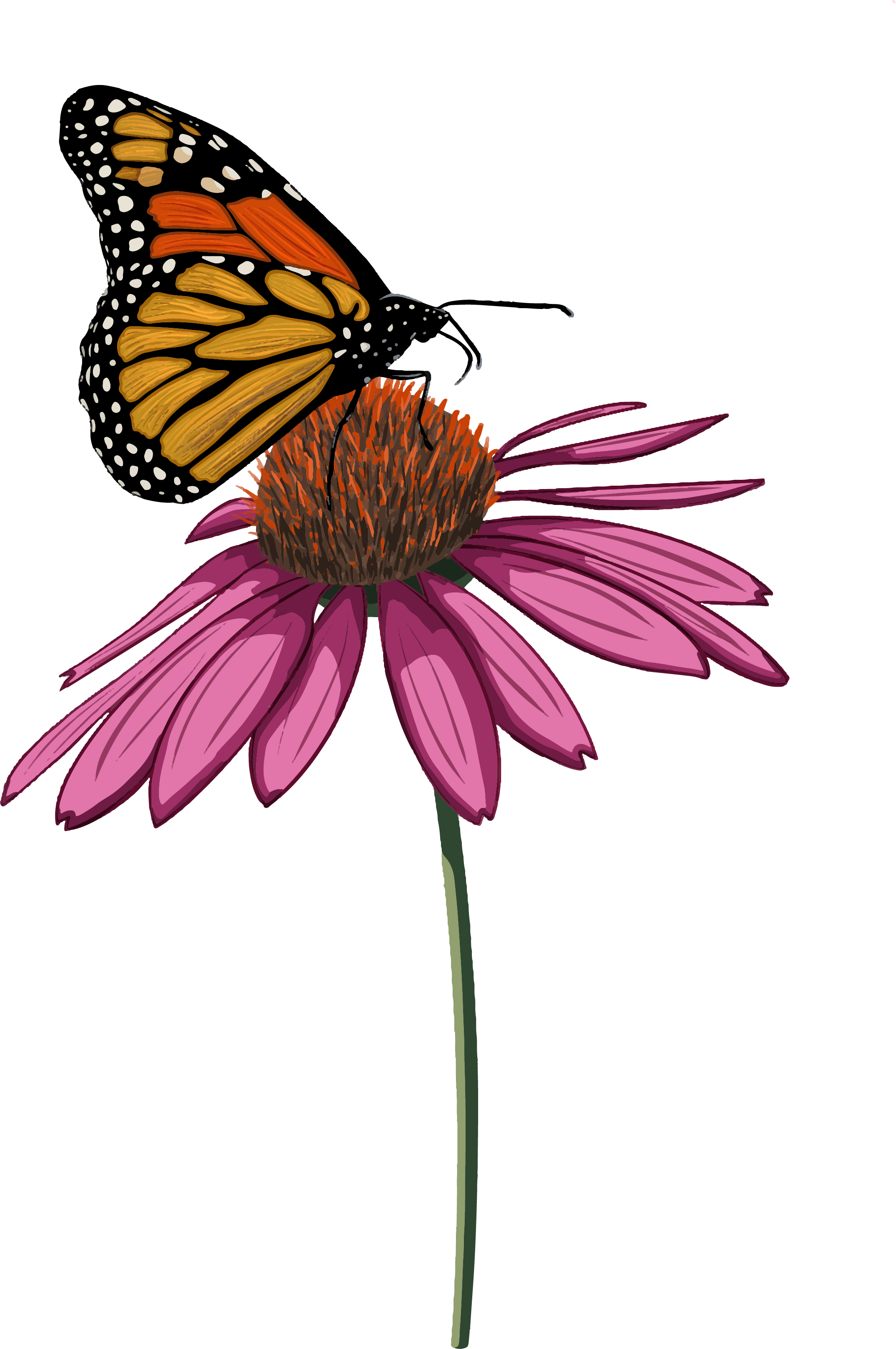 Monarch Meadows LLC Logo