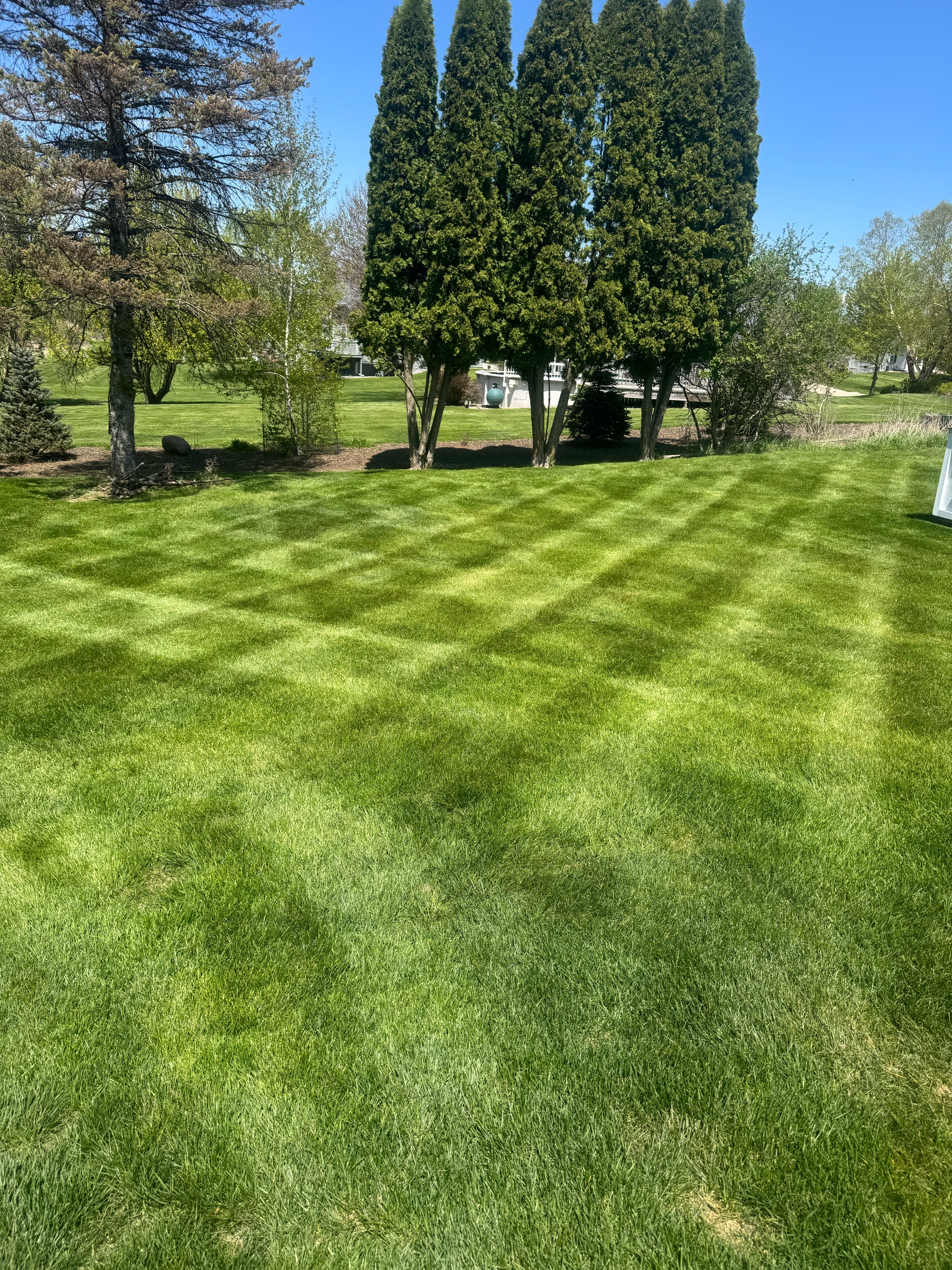 Alexs lawn and landscape services Logo