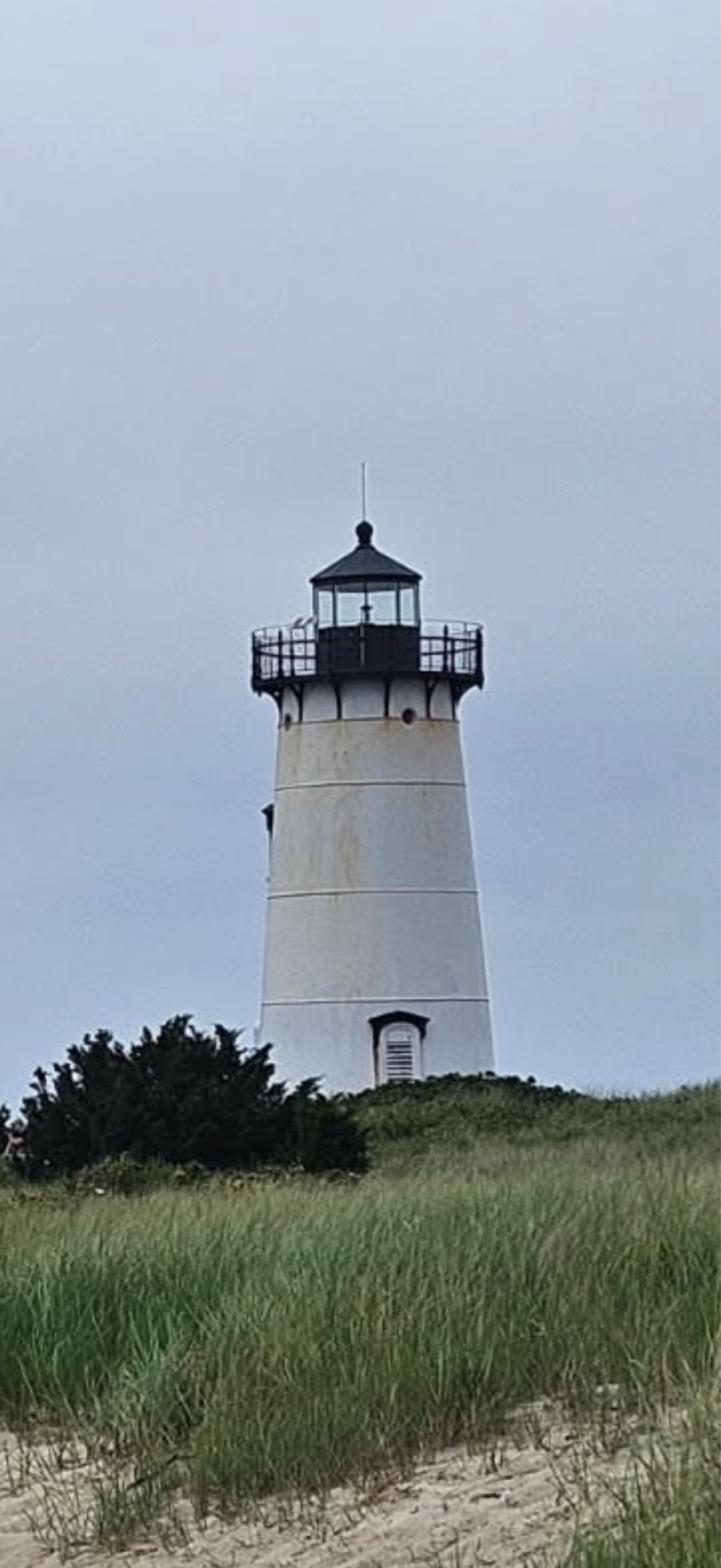 Modern Light LLC Logo