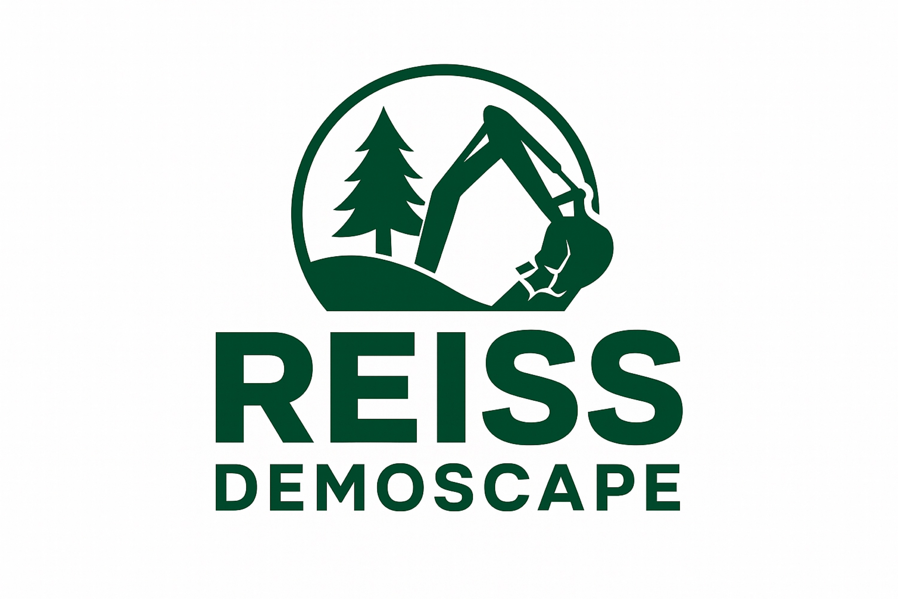 Reiss Demoscape Logo