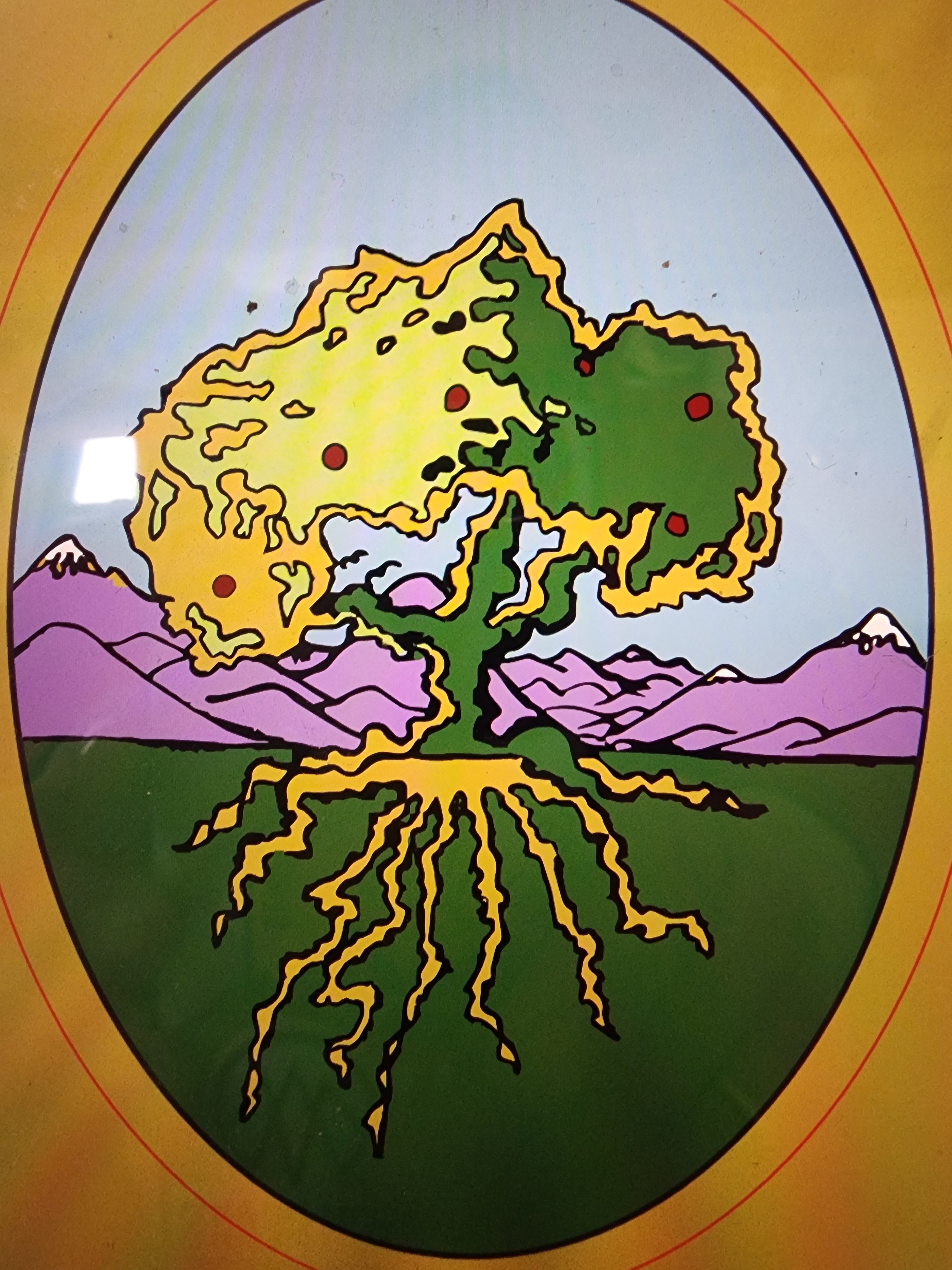 Dan Mayer Design Logo