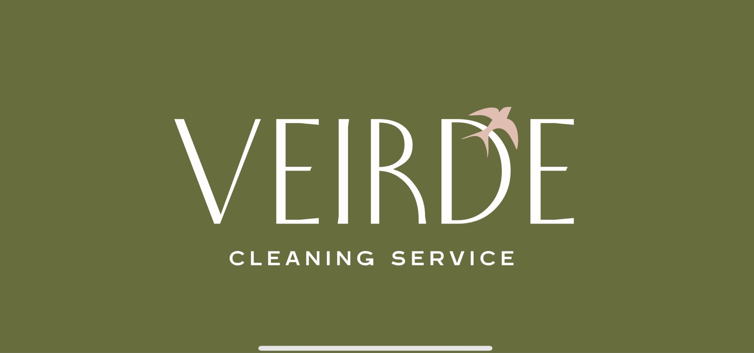 VEIRDE LLC Logo