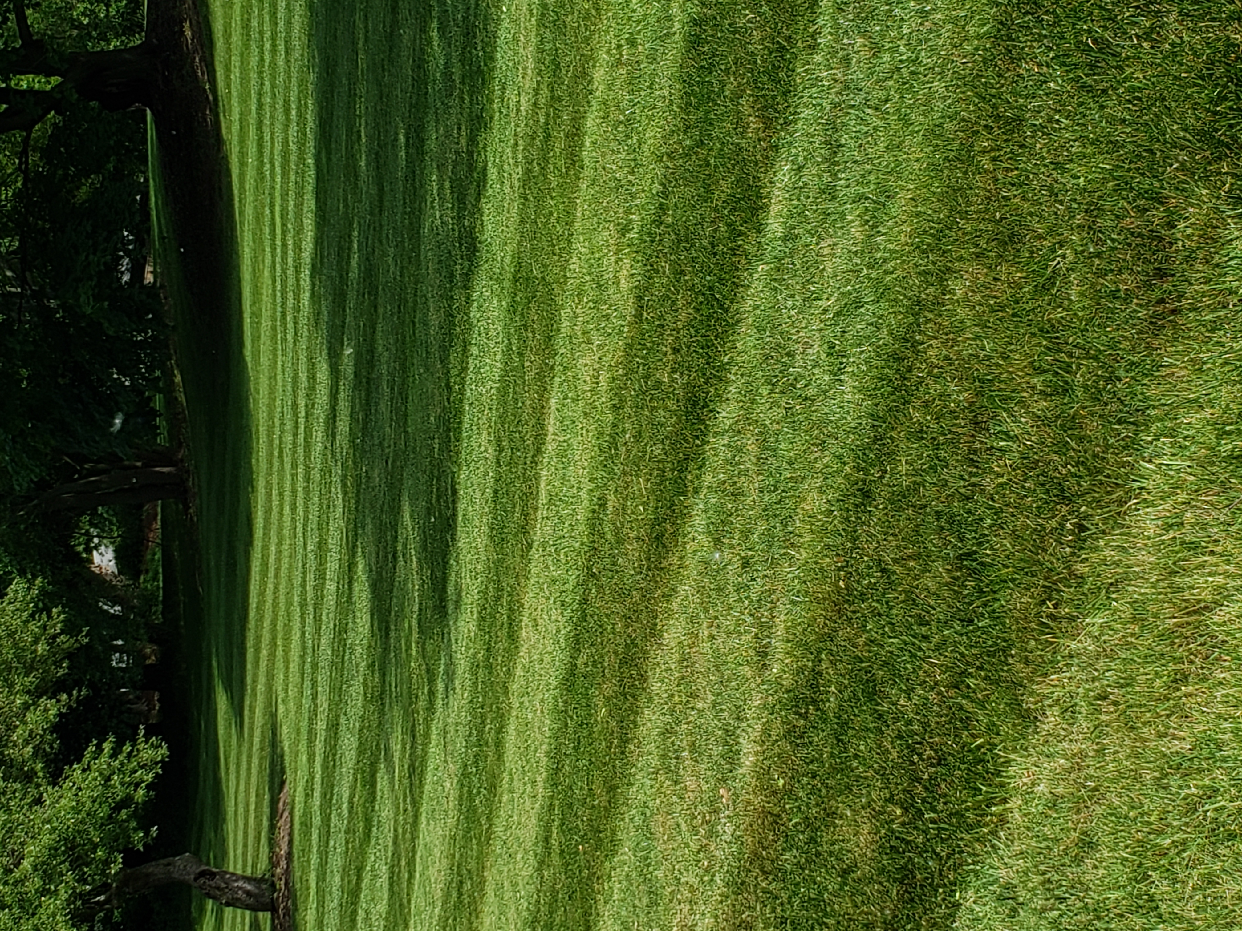 Wellington Landscaping Logo