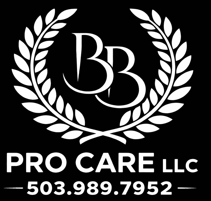 BB Pro care llc Logo