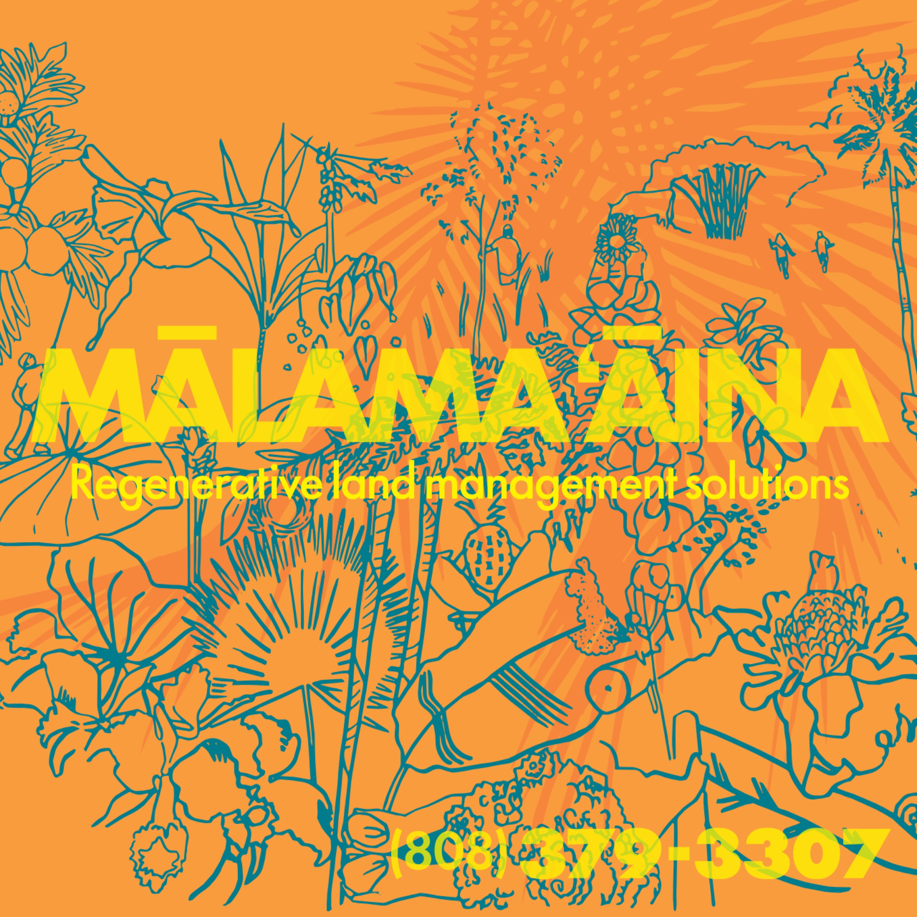 Malama Aina LLC Logo