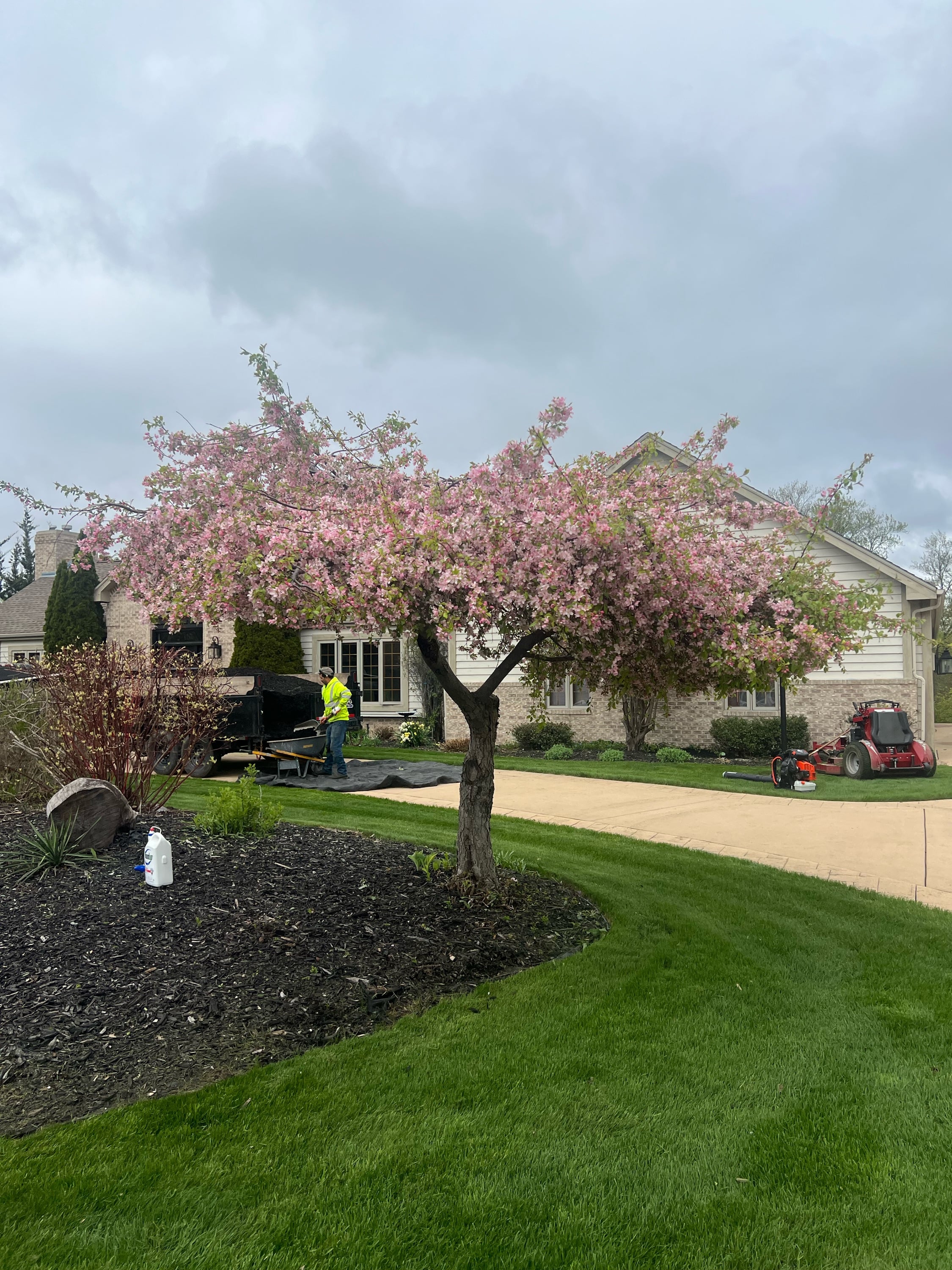 Daniel's Lawn Care Logo