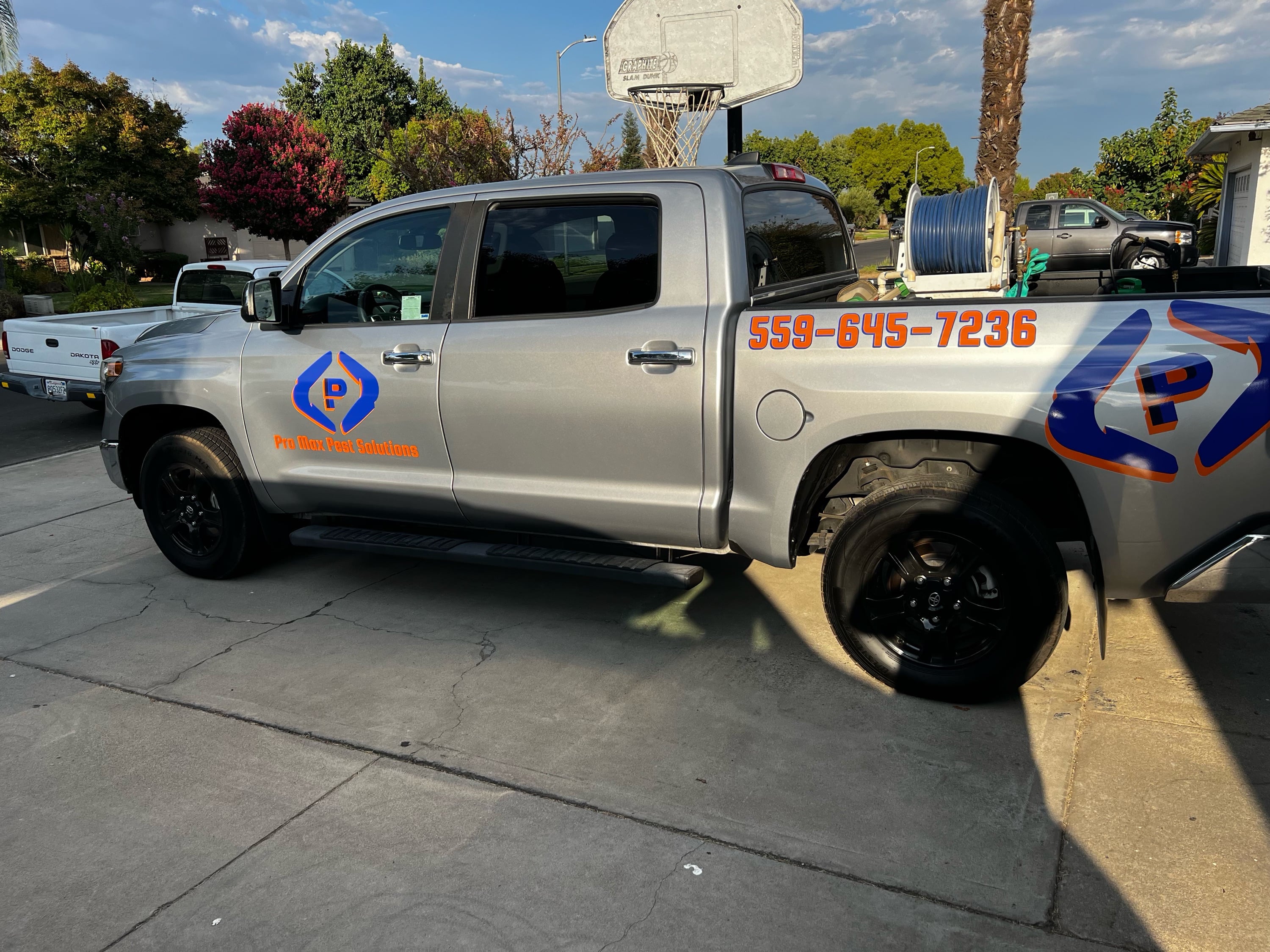 Pro Max Pest Solutions Company Logo