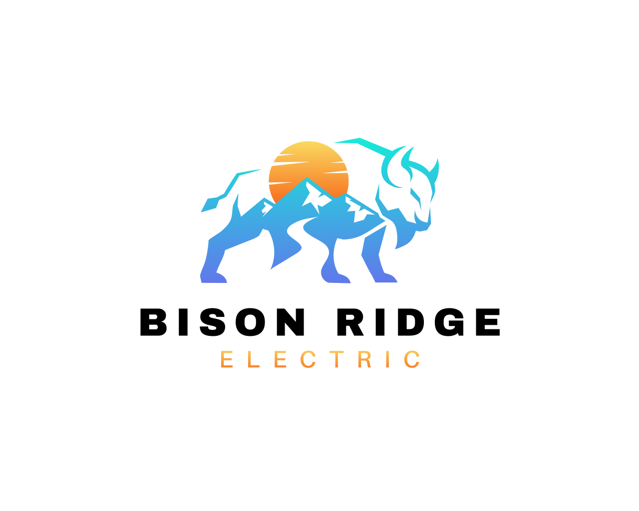 Bison Ridge Electric LLC Logo