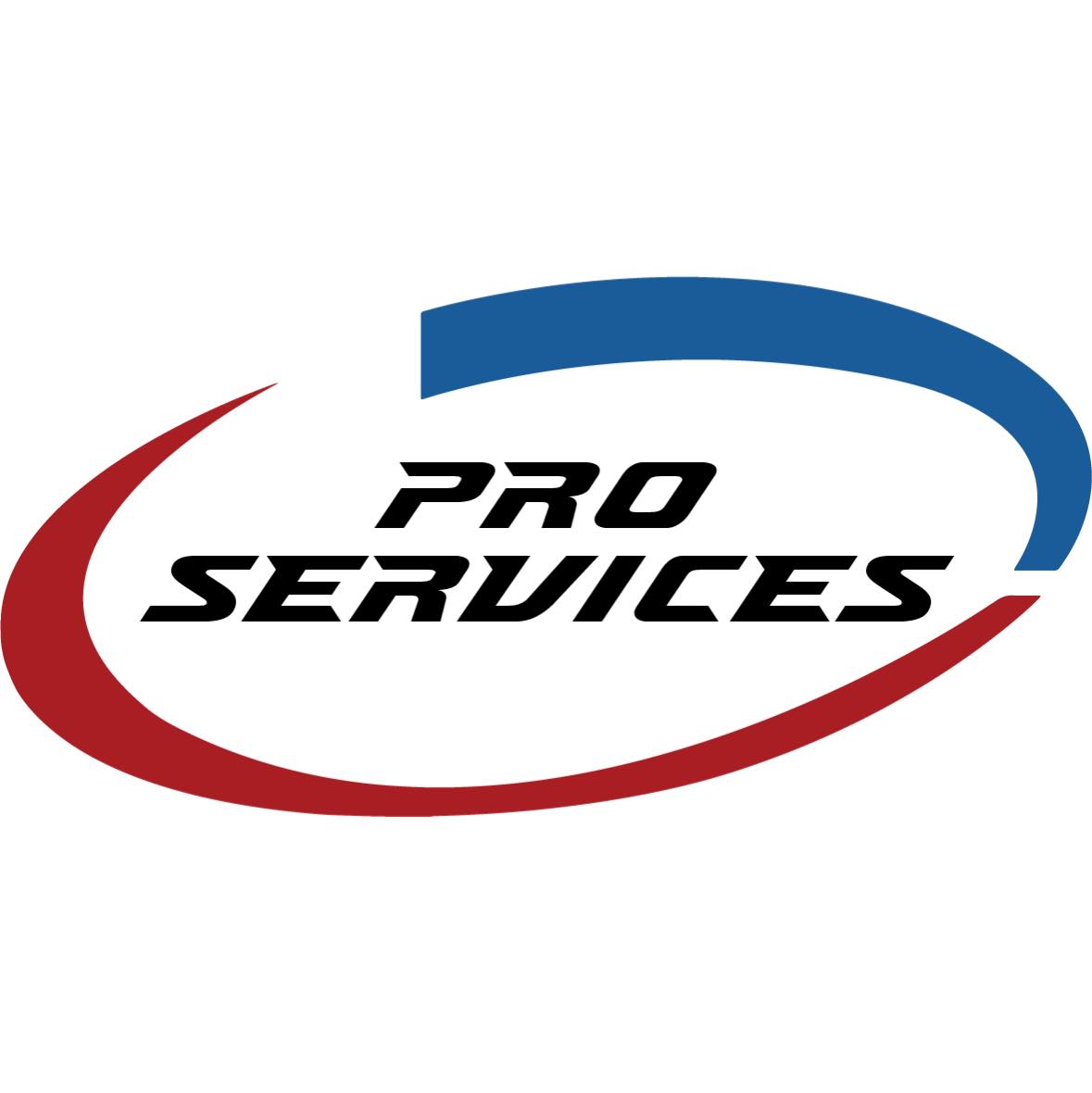 Pro Services LLC Logo