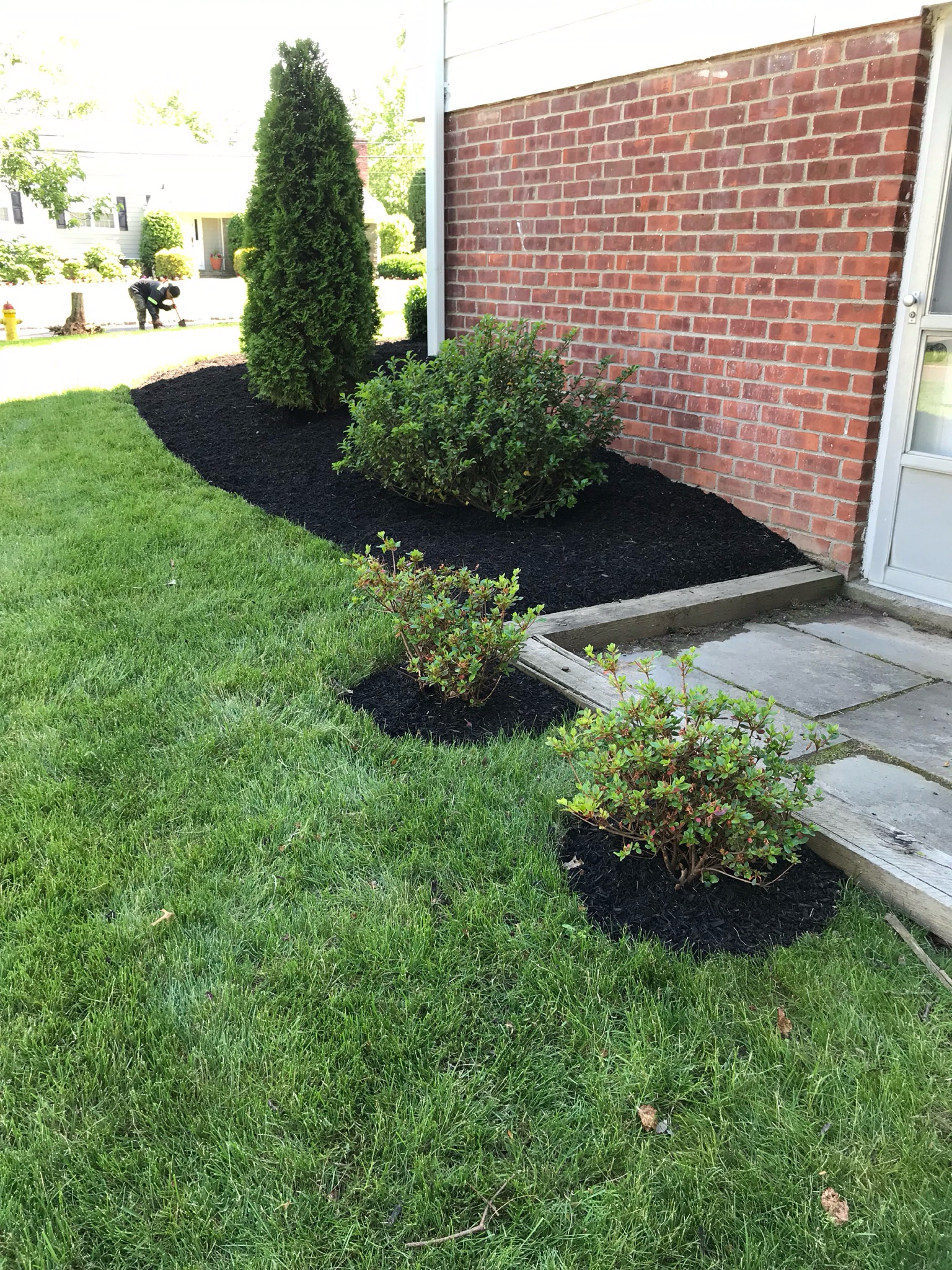 Noes Landscaping Logo