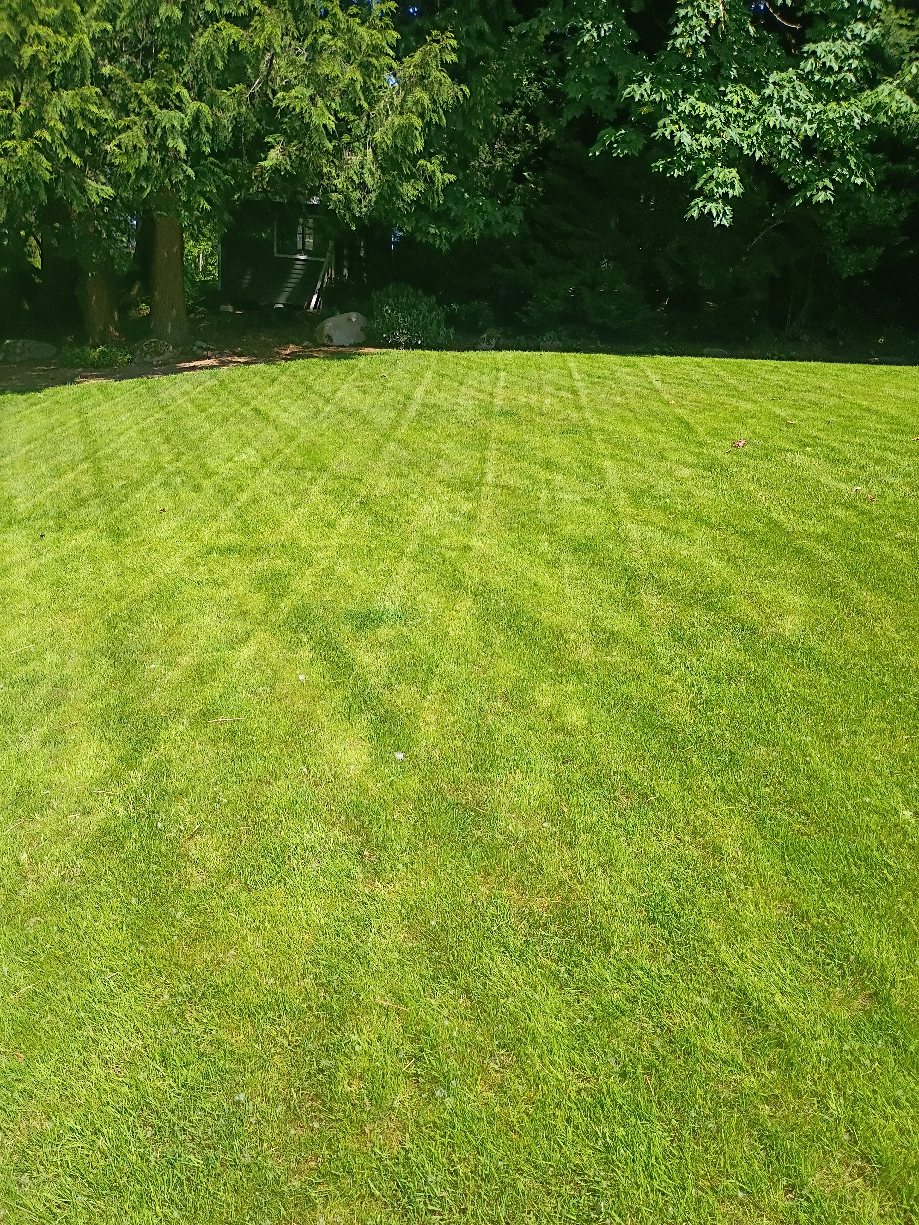 Armandos Lawn Care Logo