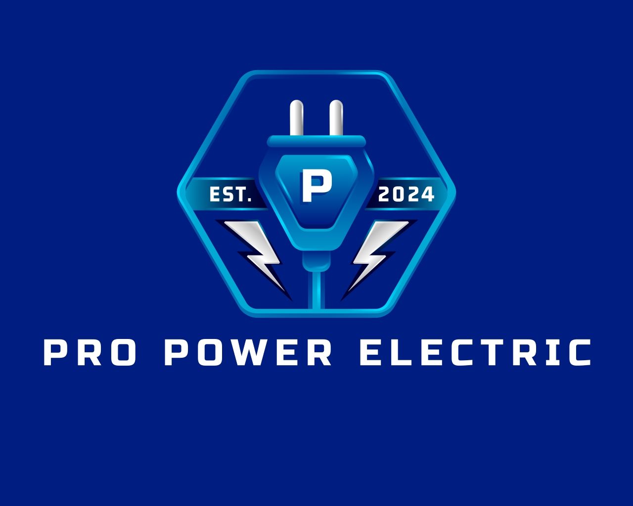 Pro Power Electric LLC Logo