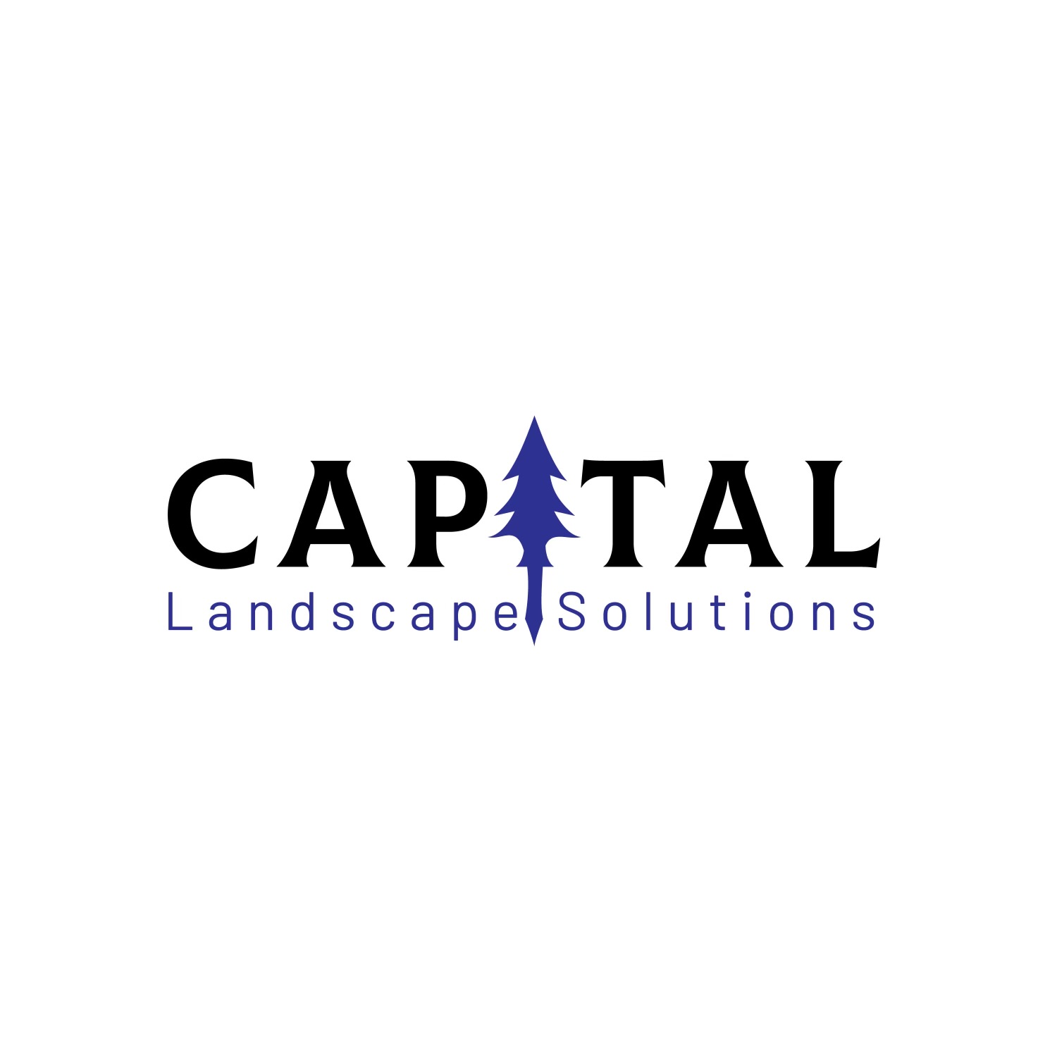 Capital Landscape Solutions Logo
