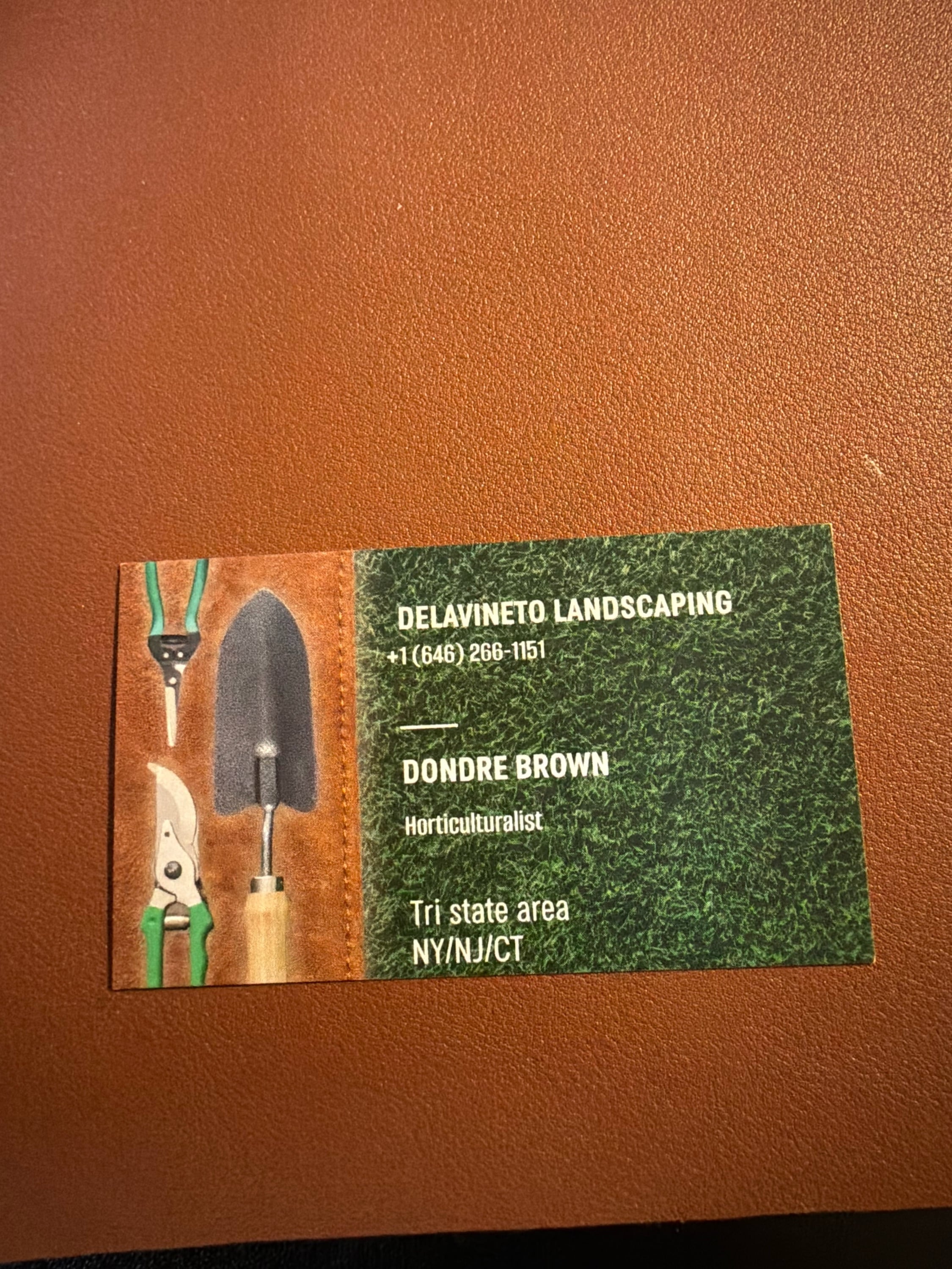 Delavineto landscaping Logo