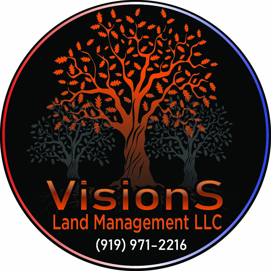 Vision Land Management Logo