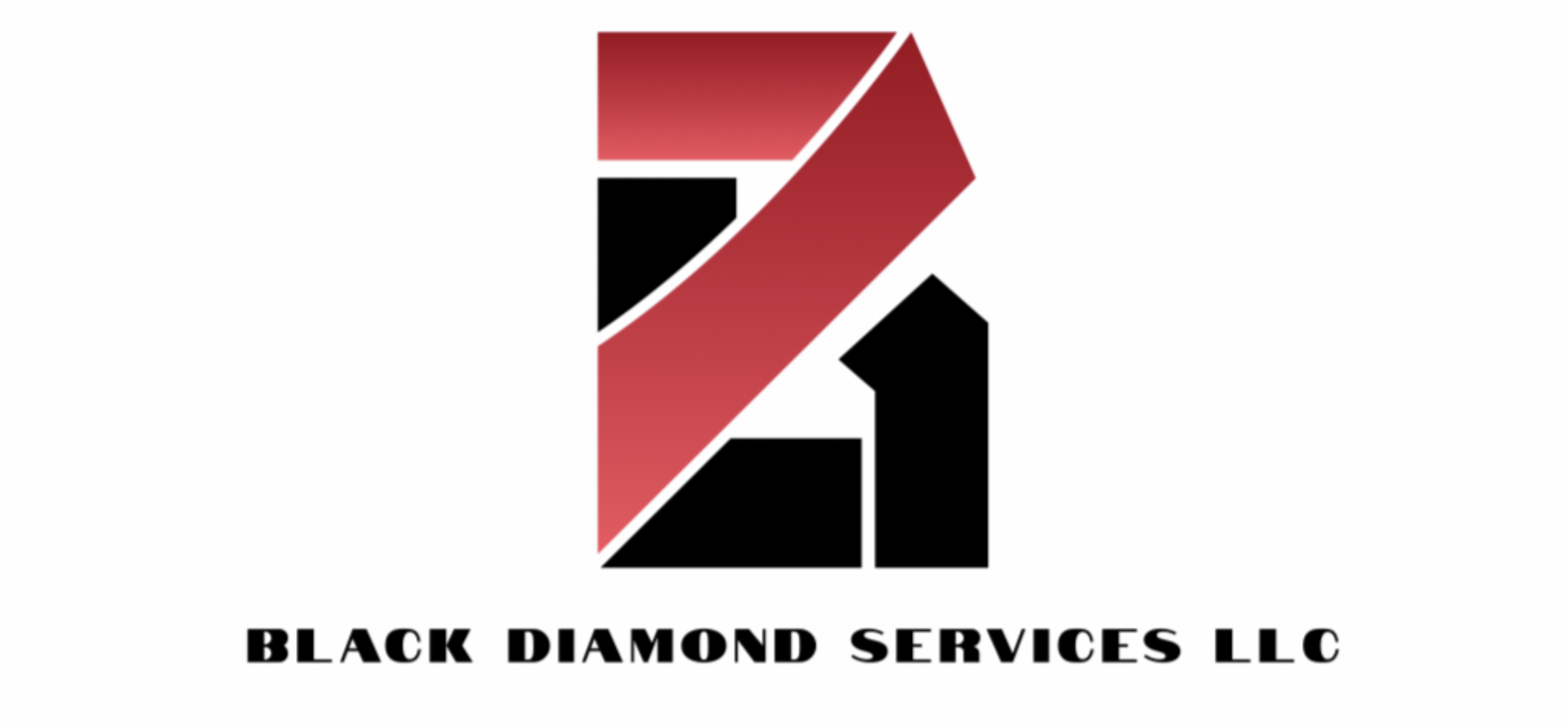 Black Diamond Services Logo