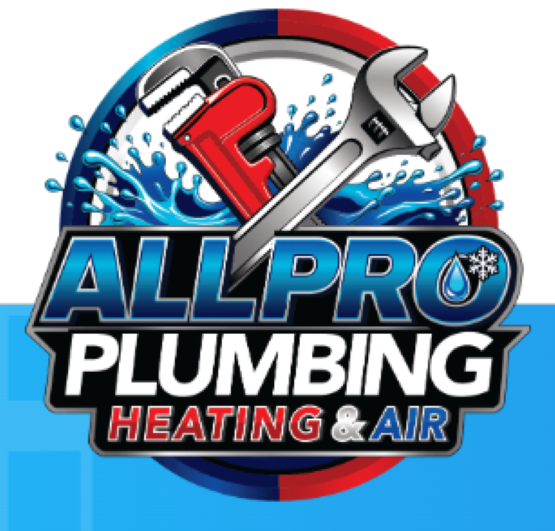 PRO RESTORATION SERVICES INC Logo