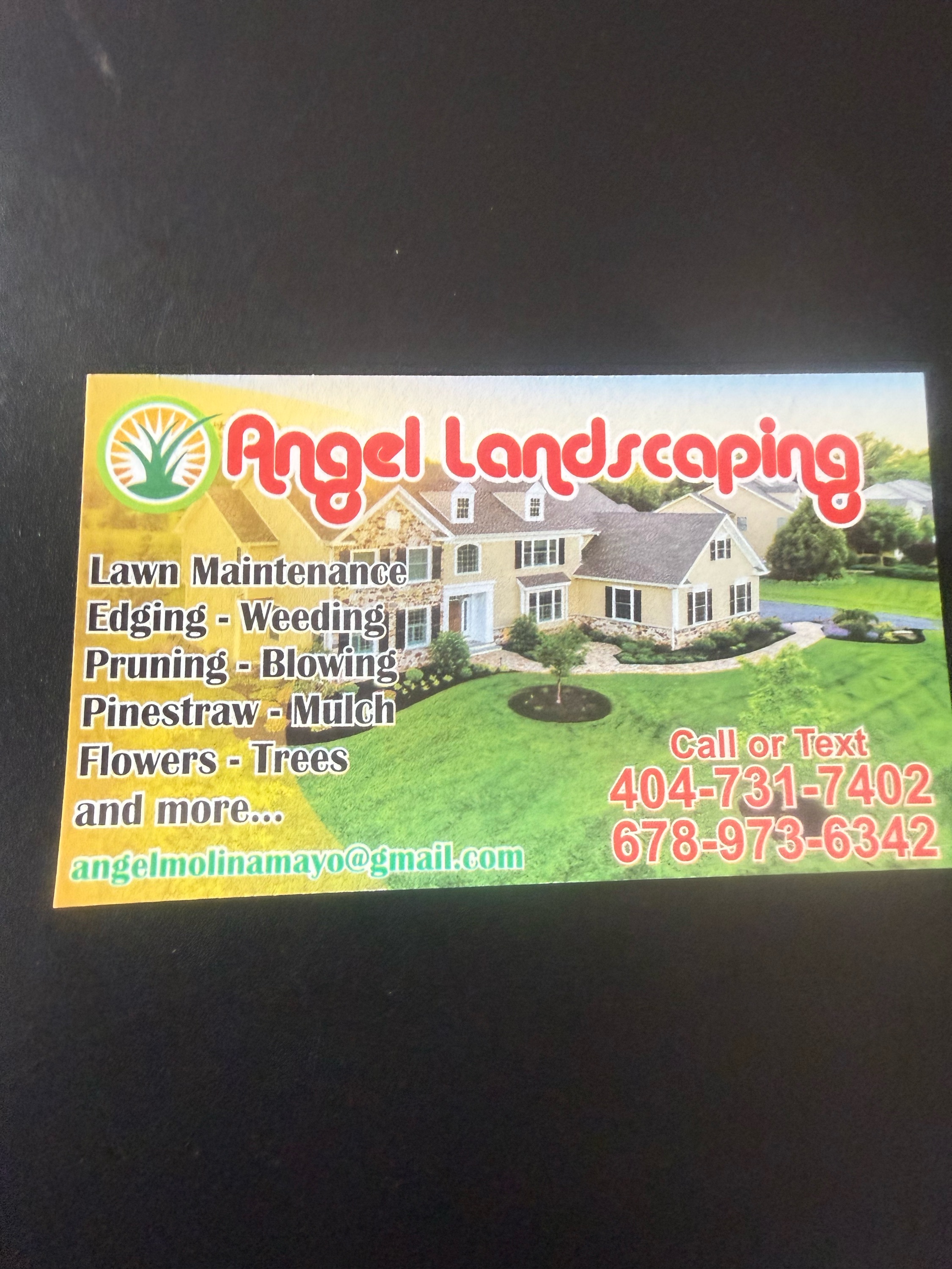 Angel Landscape Logo