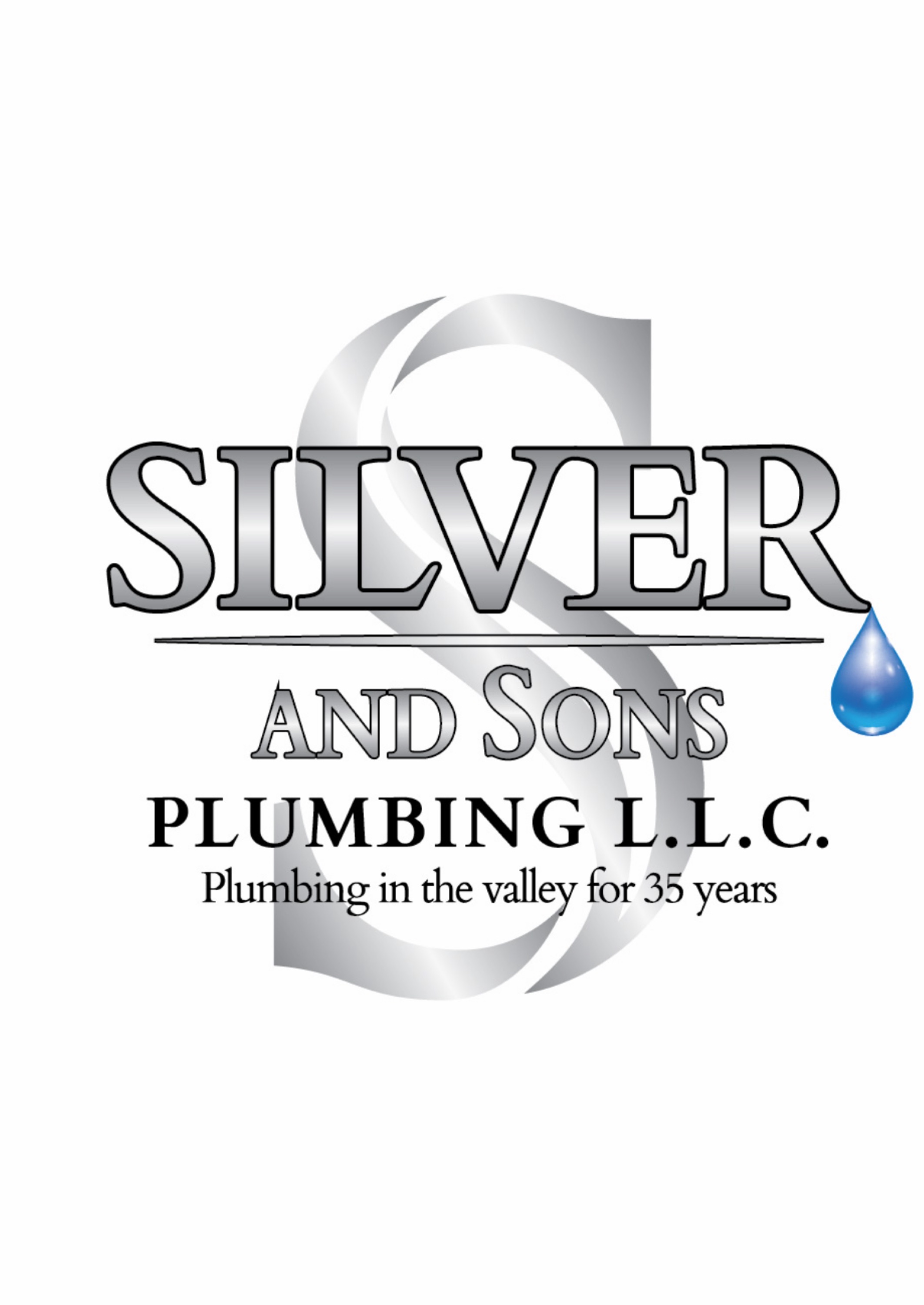 Silver and Sons Plumbing Logo