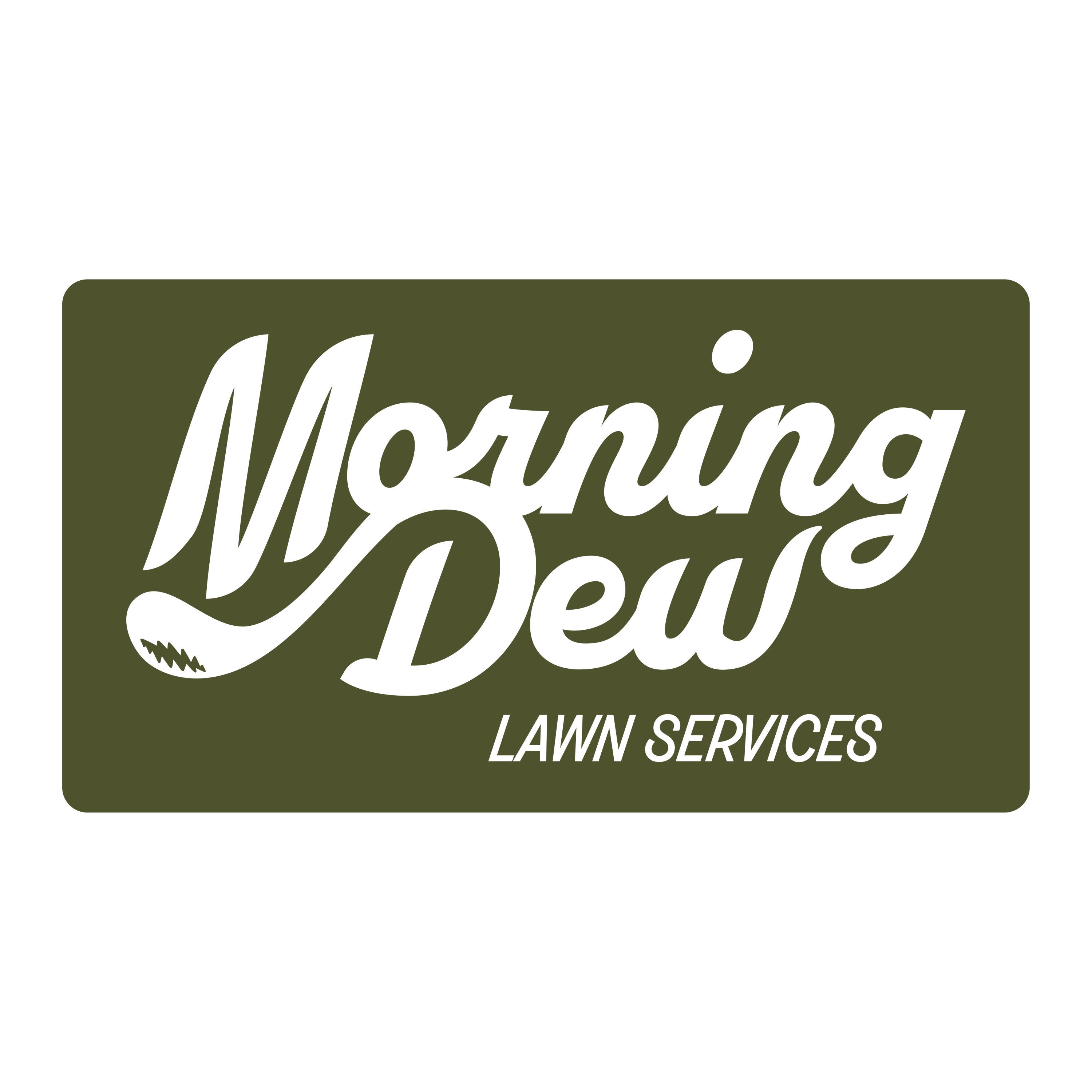 Morning Dew Lawn Services Logo