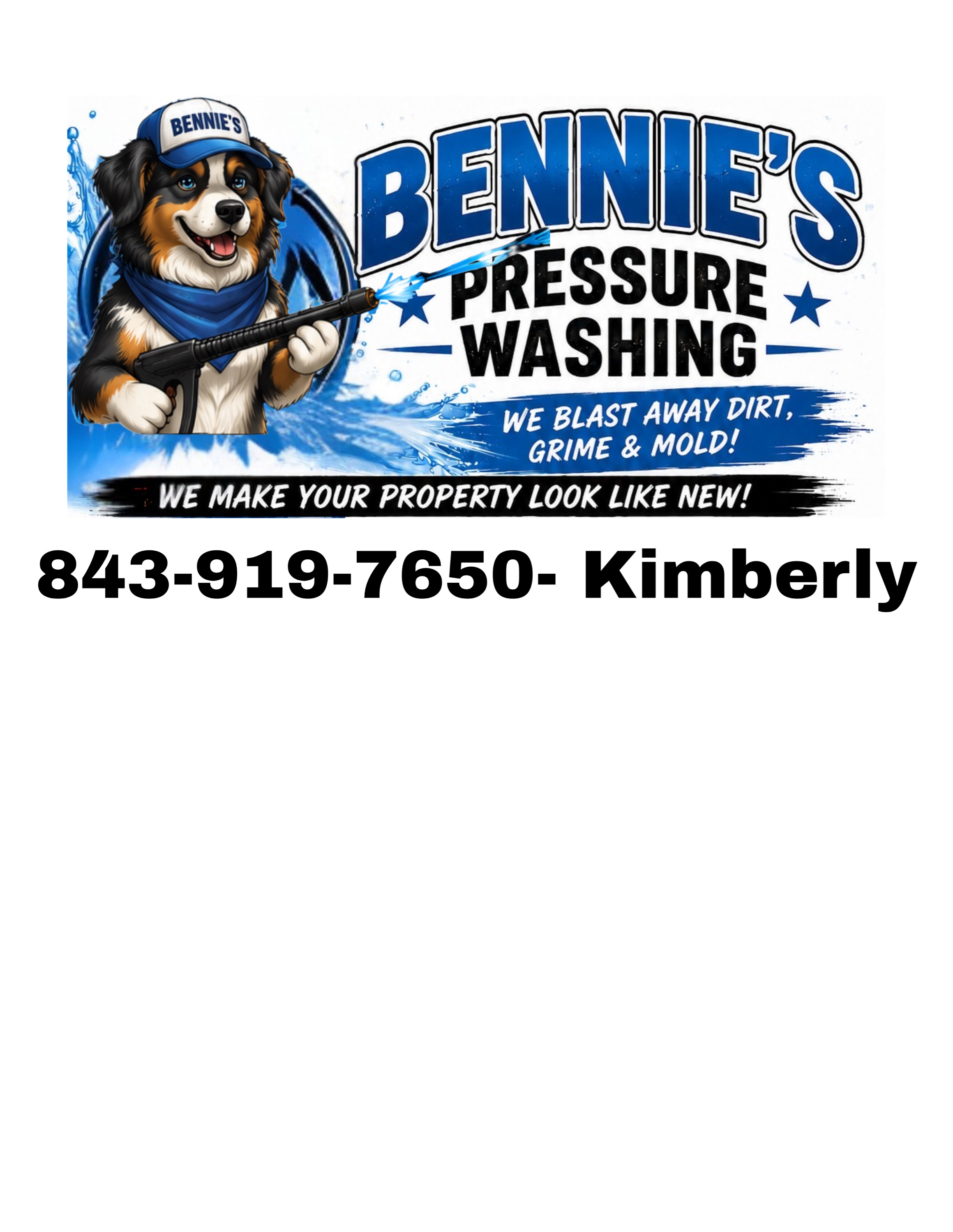 Bennies pressure washing Logo