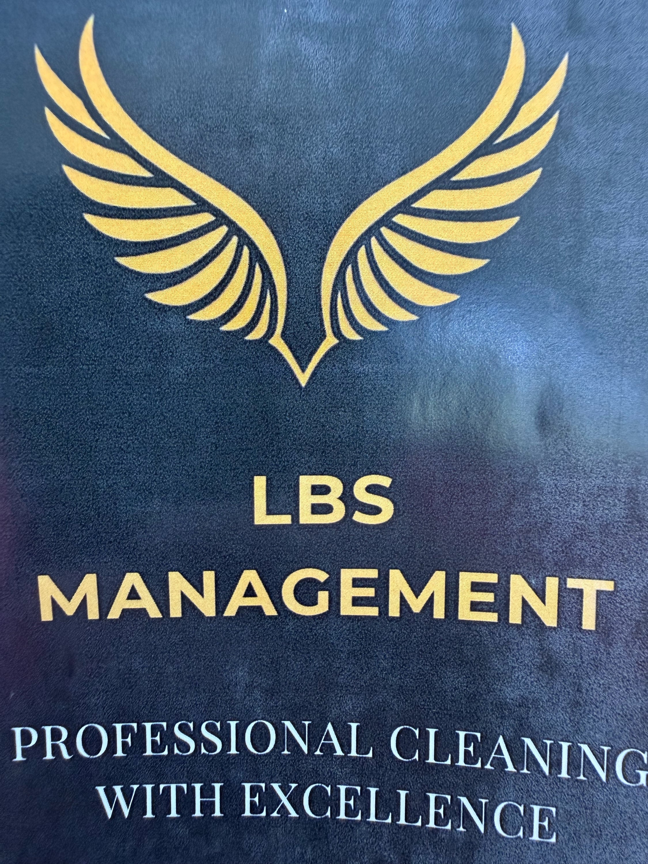lbs management llc Logo