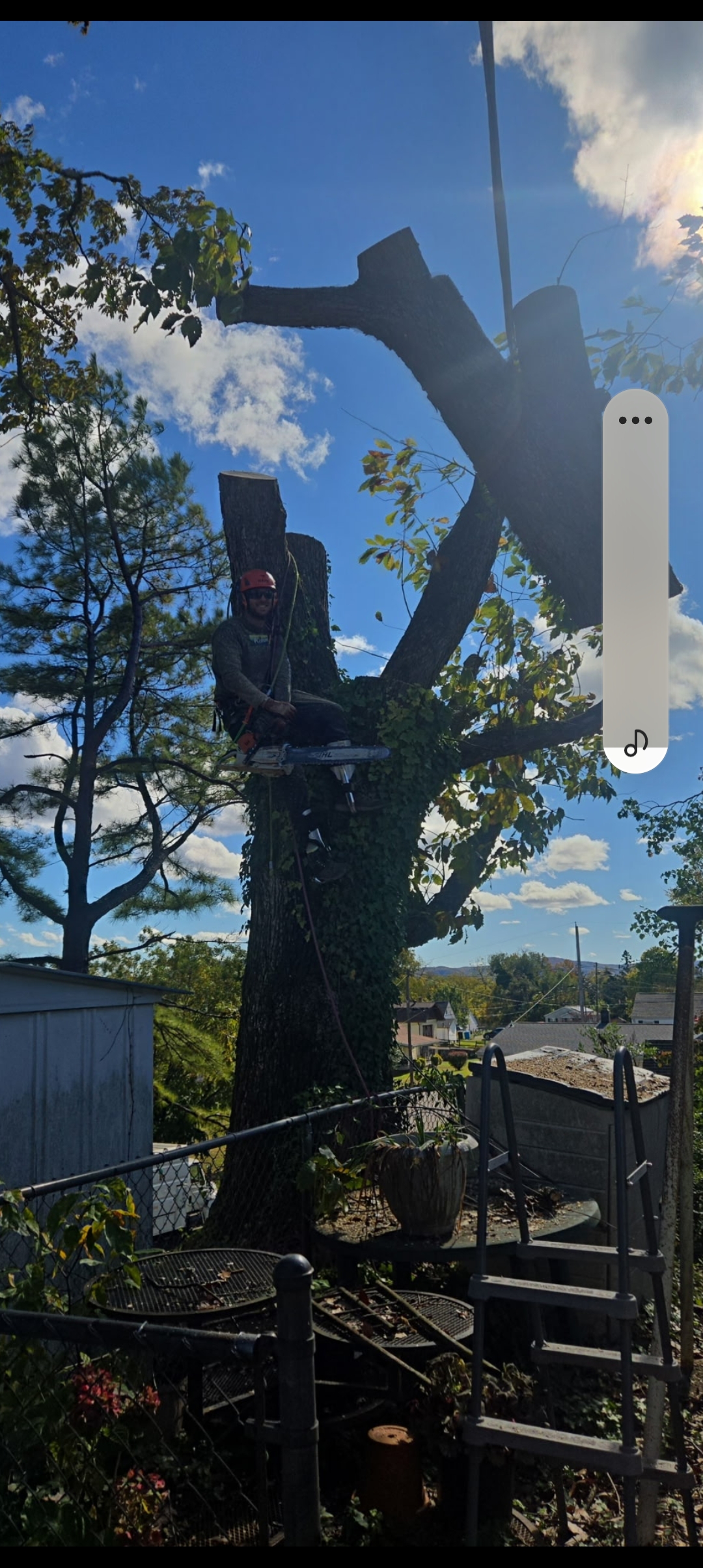 Big Boys tree service Logo