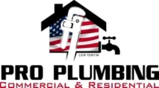 Pro Plumbing Logo