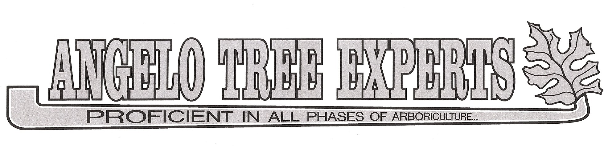 Angelo Tree Experts Logo