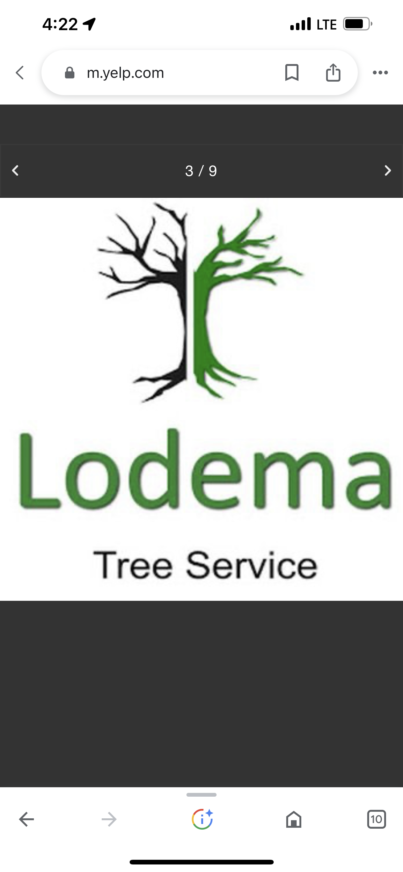 Lodema Tree and Landscape Service Logo