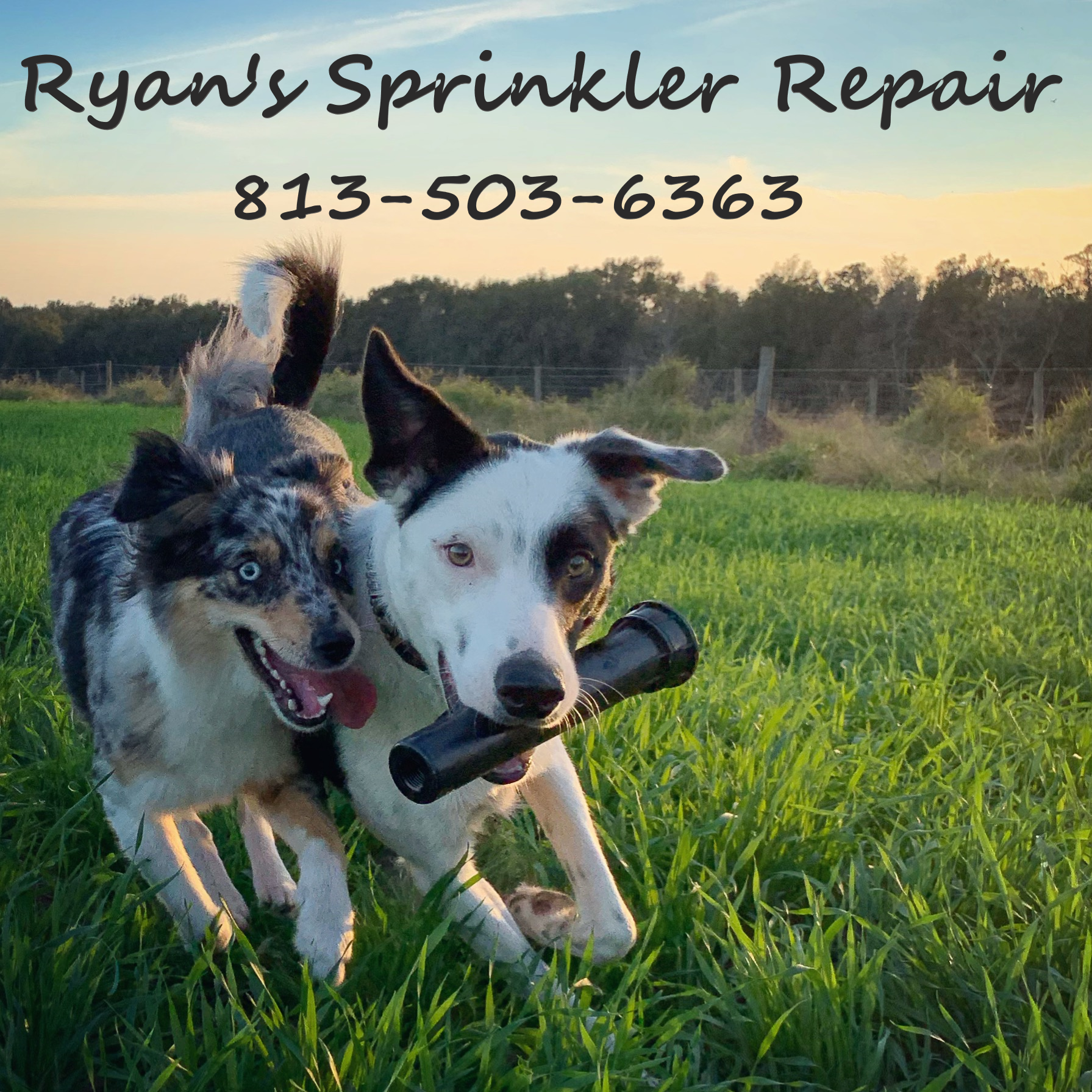 Ryan's Sprinkler Repair Logo