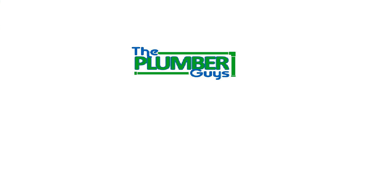 The Plumber Guys, LLC Logo