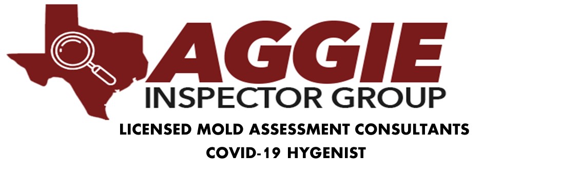 Aggie Inspector Group, LLC Logo