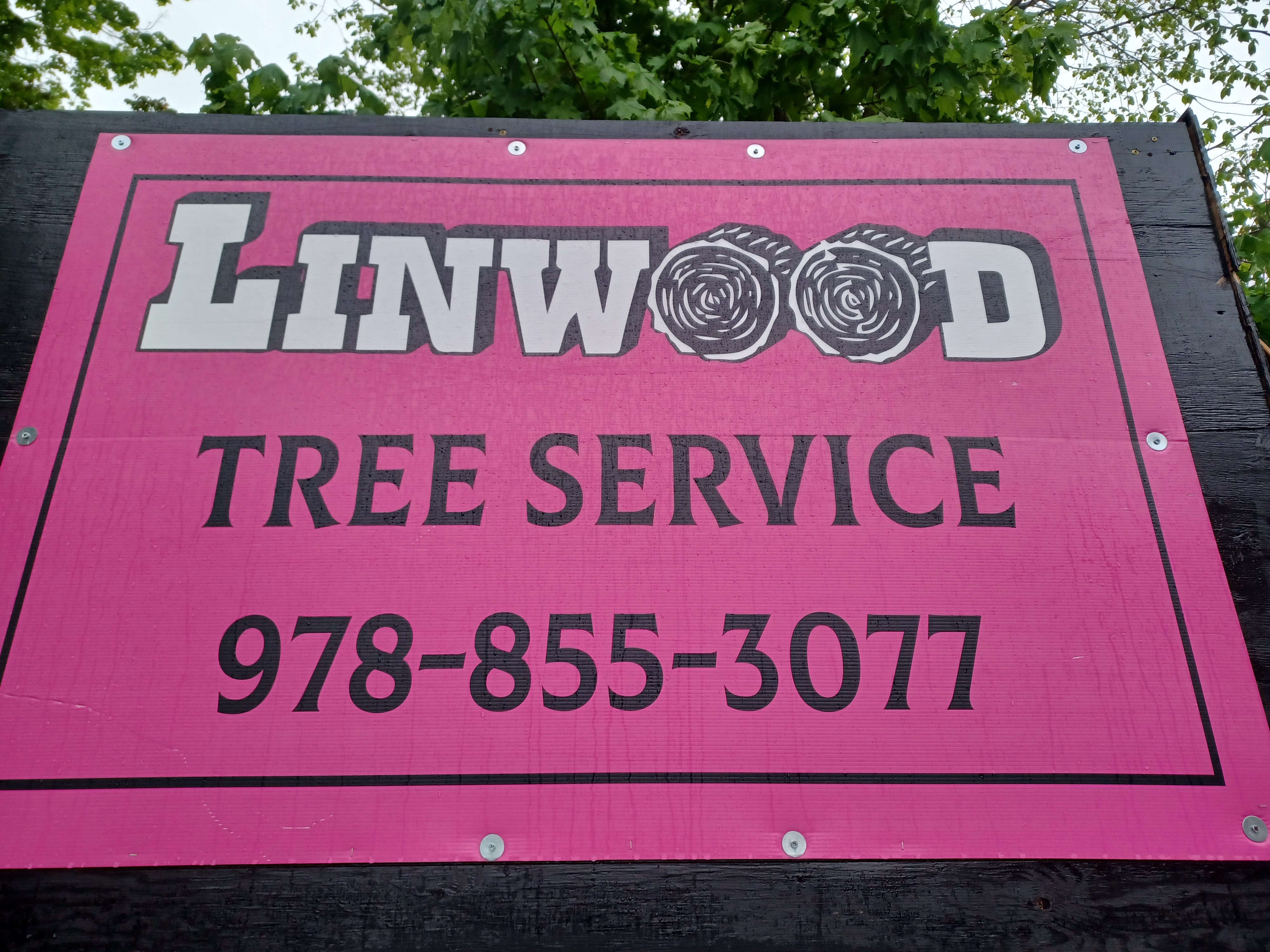 Linwood Tree Logo