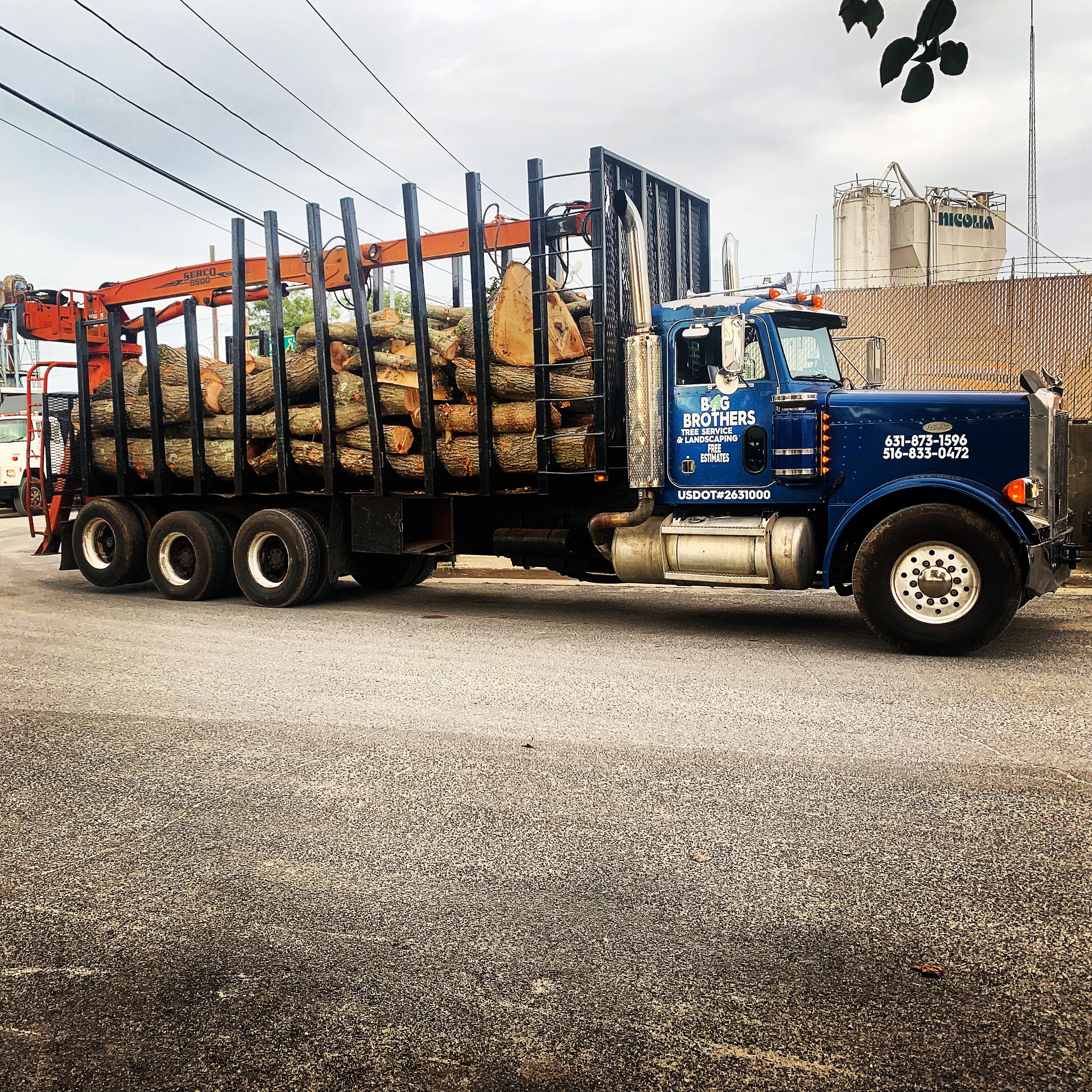 Big Brothers Tree Service & Landcaping Logo