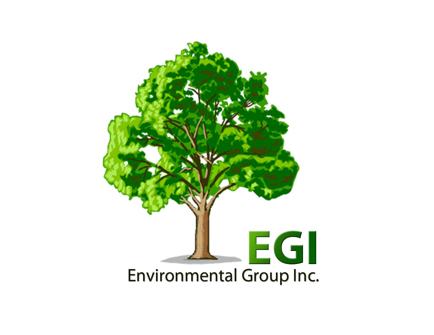 Environmental Group, Inc. Logo