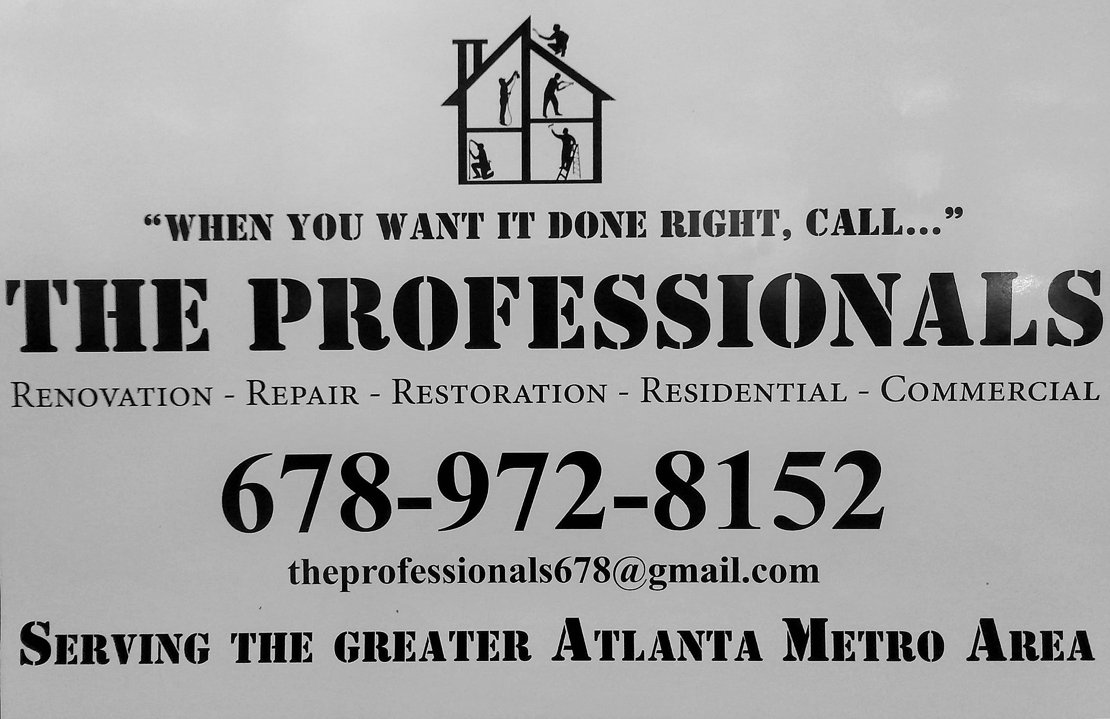 The Professionals Logo