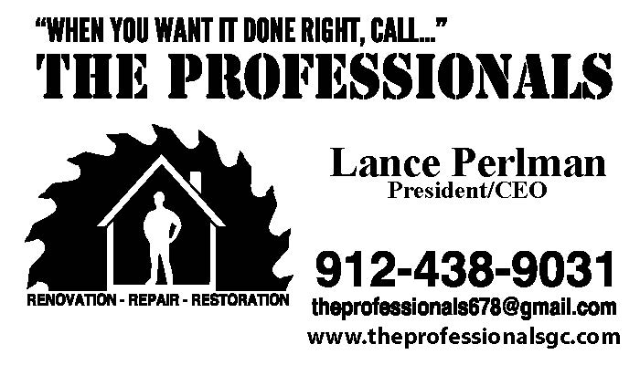 The Professionals Logo