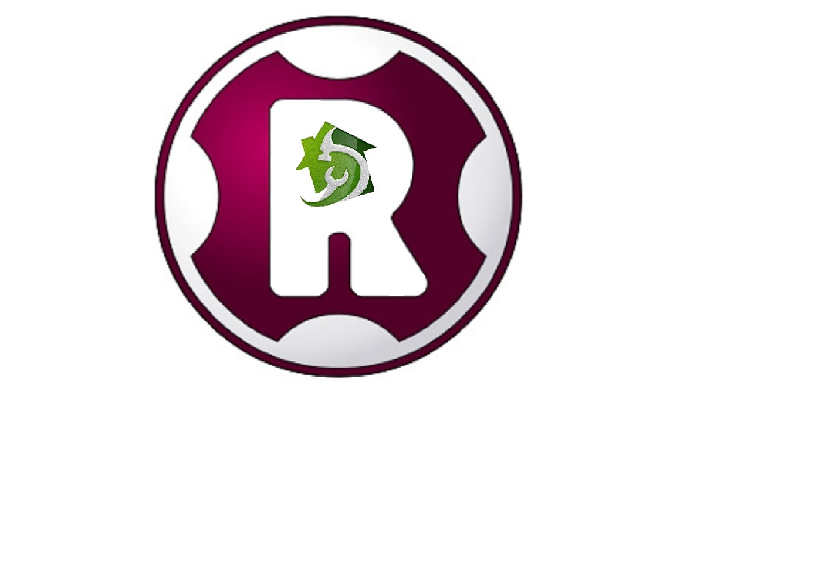 RayConn Services, LLC Logo