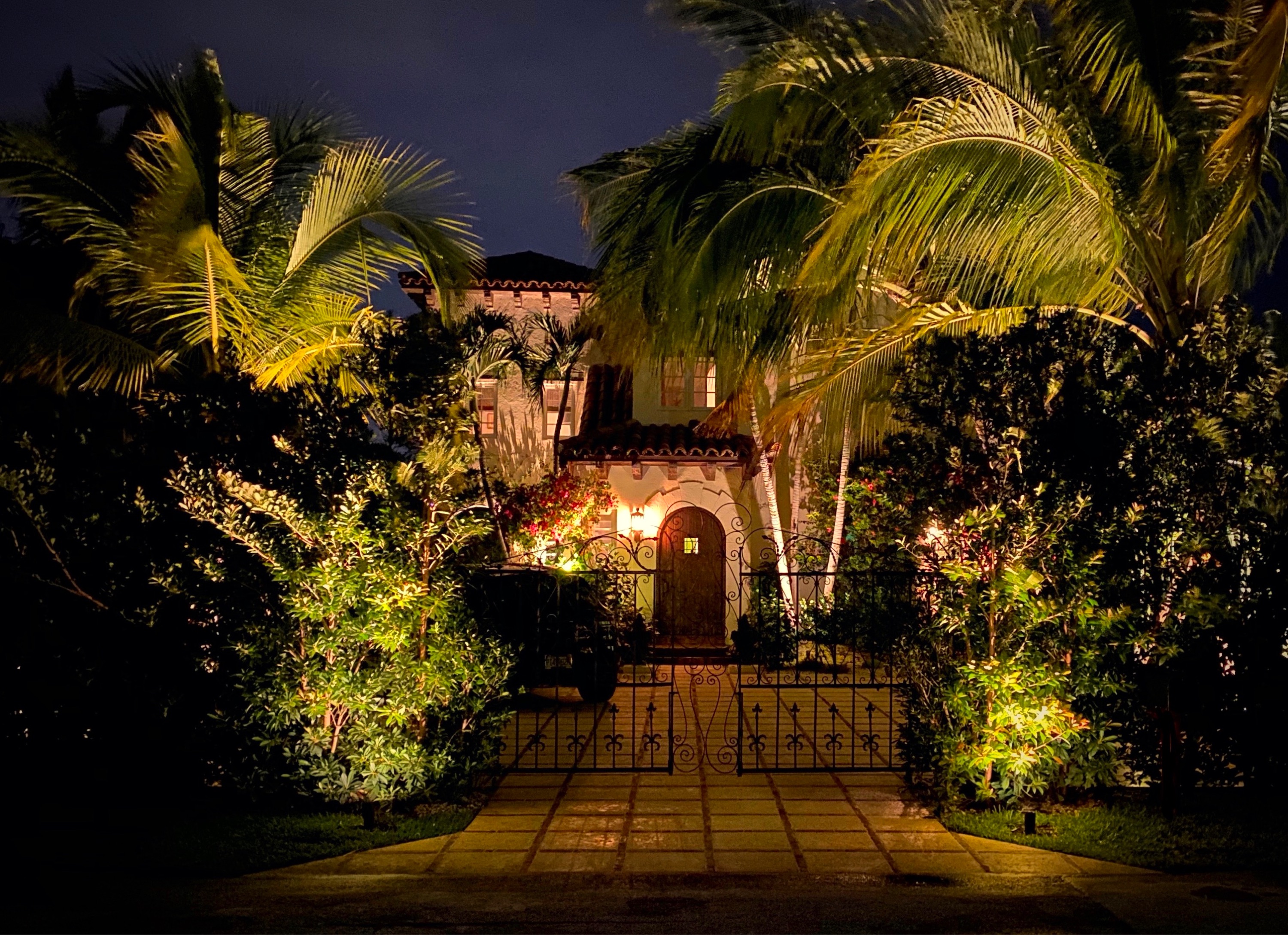 Tropical Landscape Lighting Logo