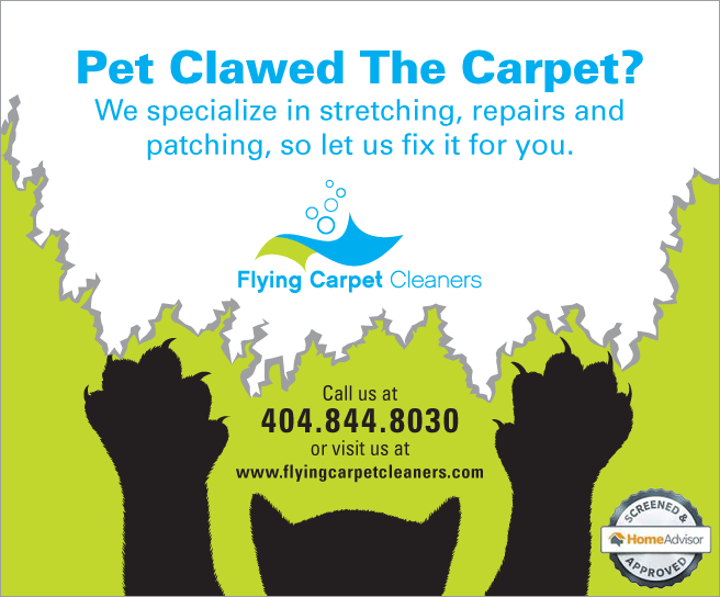 Flying Carpet Cleaners, LLC Logo