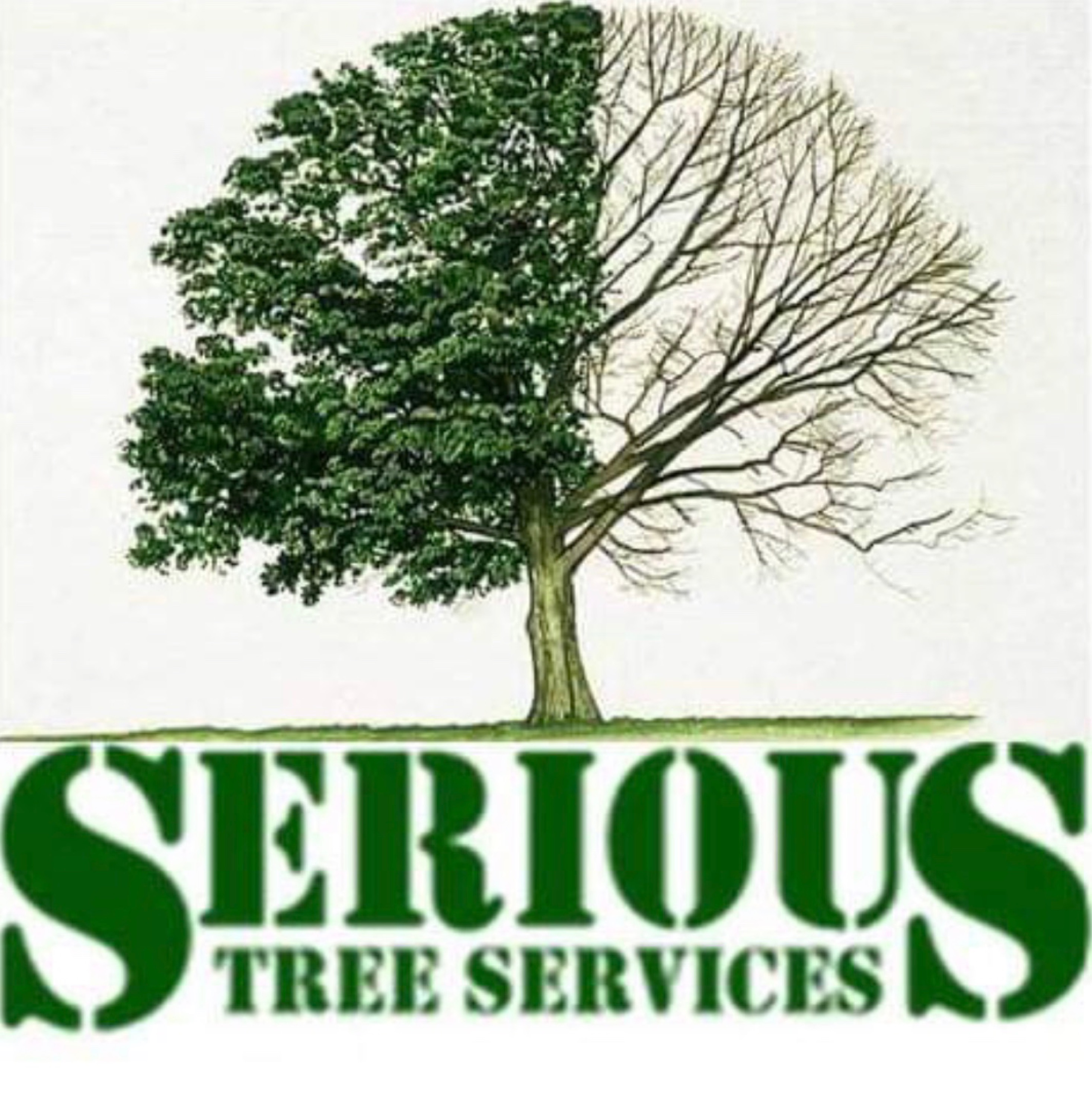 Serious Tree Services LLC Logo