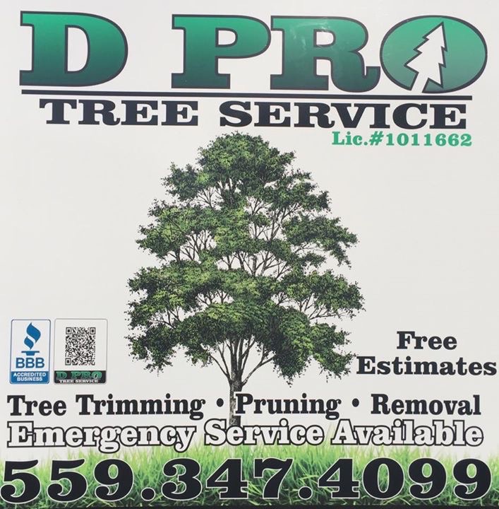 D Pro Tree Service Logo